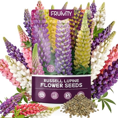 Russell Lupine Seeds (0.35oz – 1000+ Seeds) – Mixed Color Perennial Wildflower