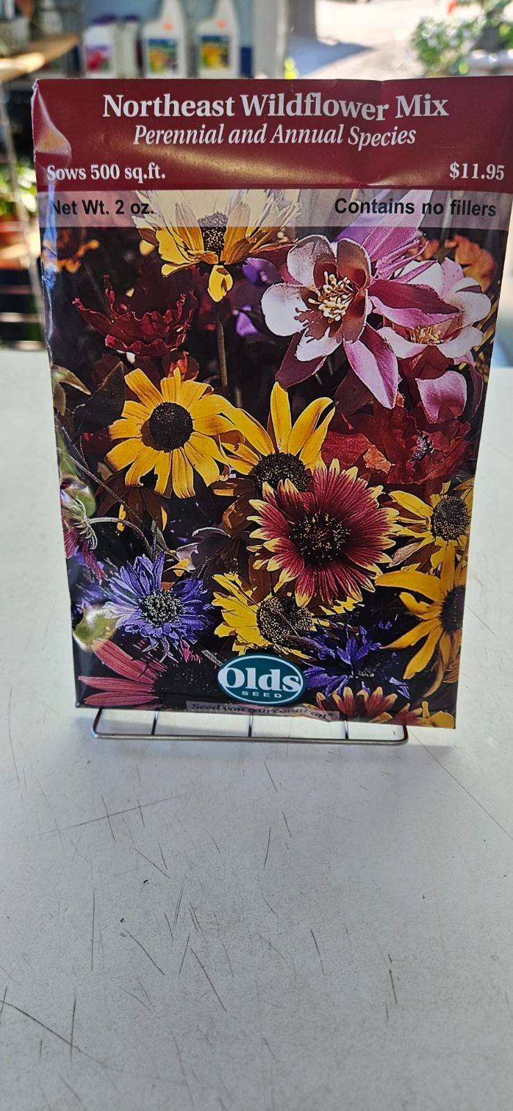 Northeast Wildflower Mix, Perennial & Annual Species Sows 500 sq ft
