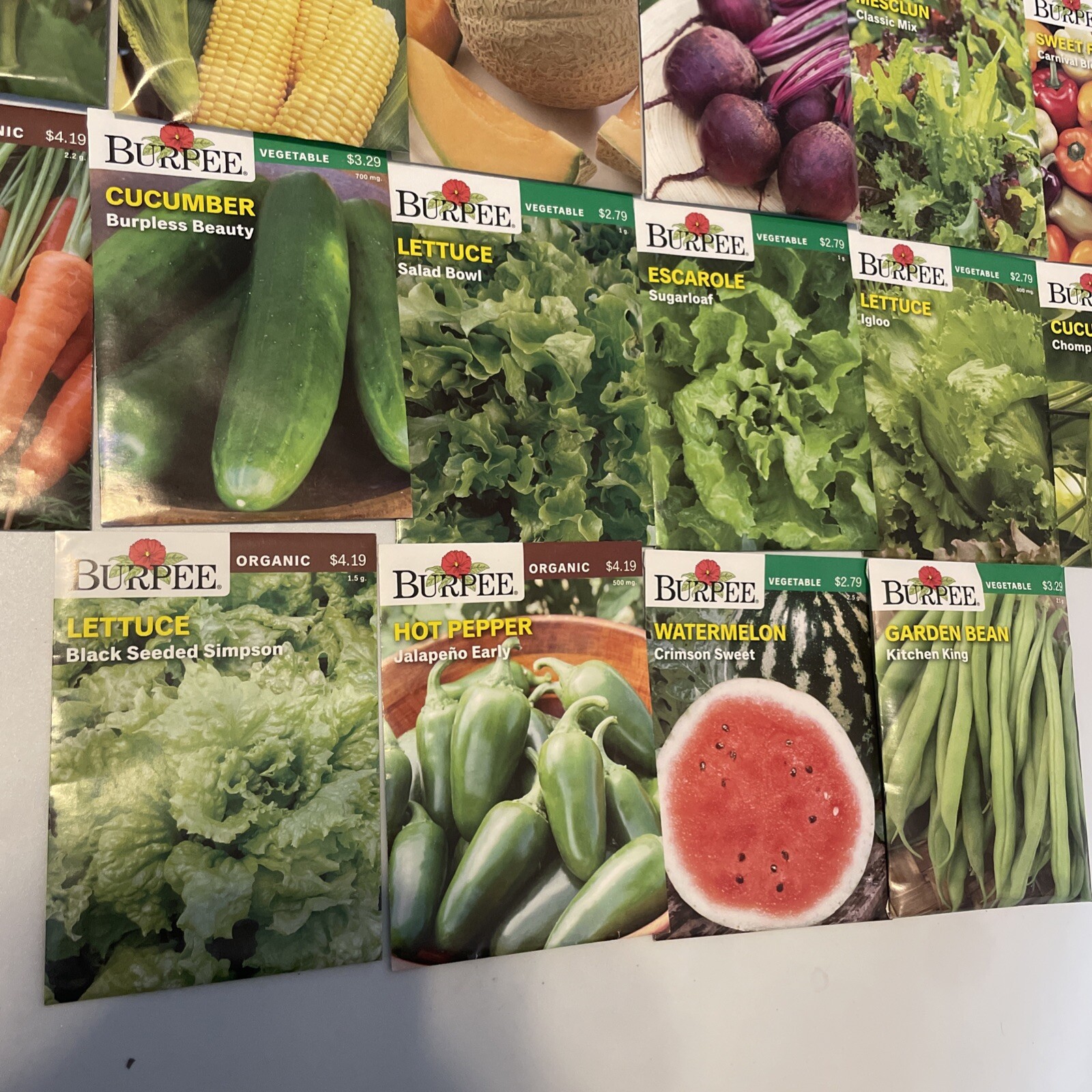 Burpee Garden Seeds Lot of 22 Packs – Vegetable & Herbs Dated 2021