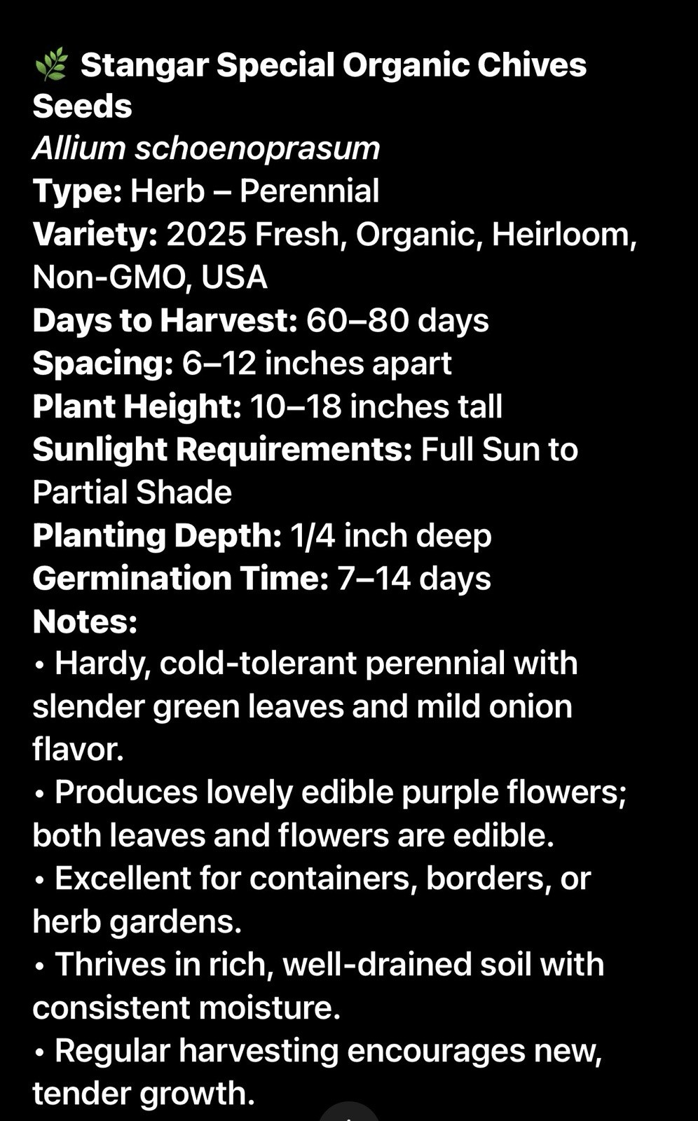 Stangar Special Organic Chives Seeds 2026 USA Fresh Heirloom