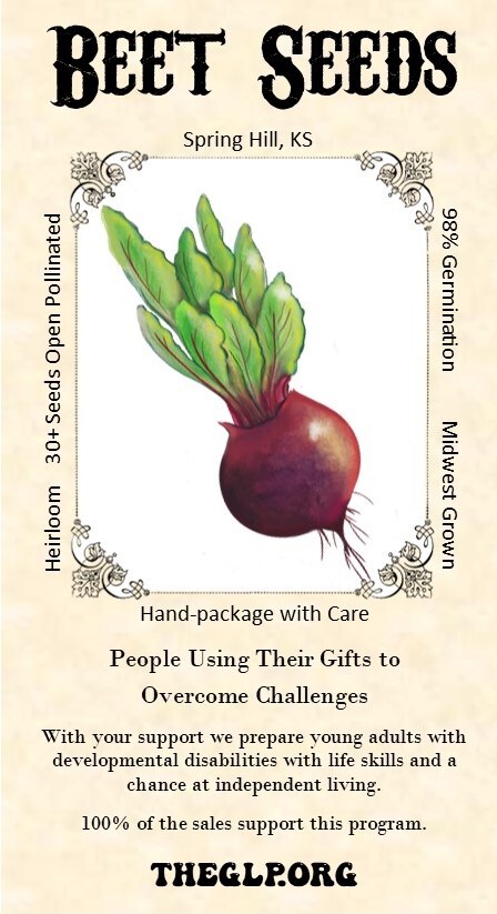 BEET Seeds *Big Large Heads 30+ SEEDS *FREE SHIPPING Help A Non-profit