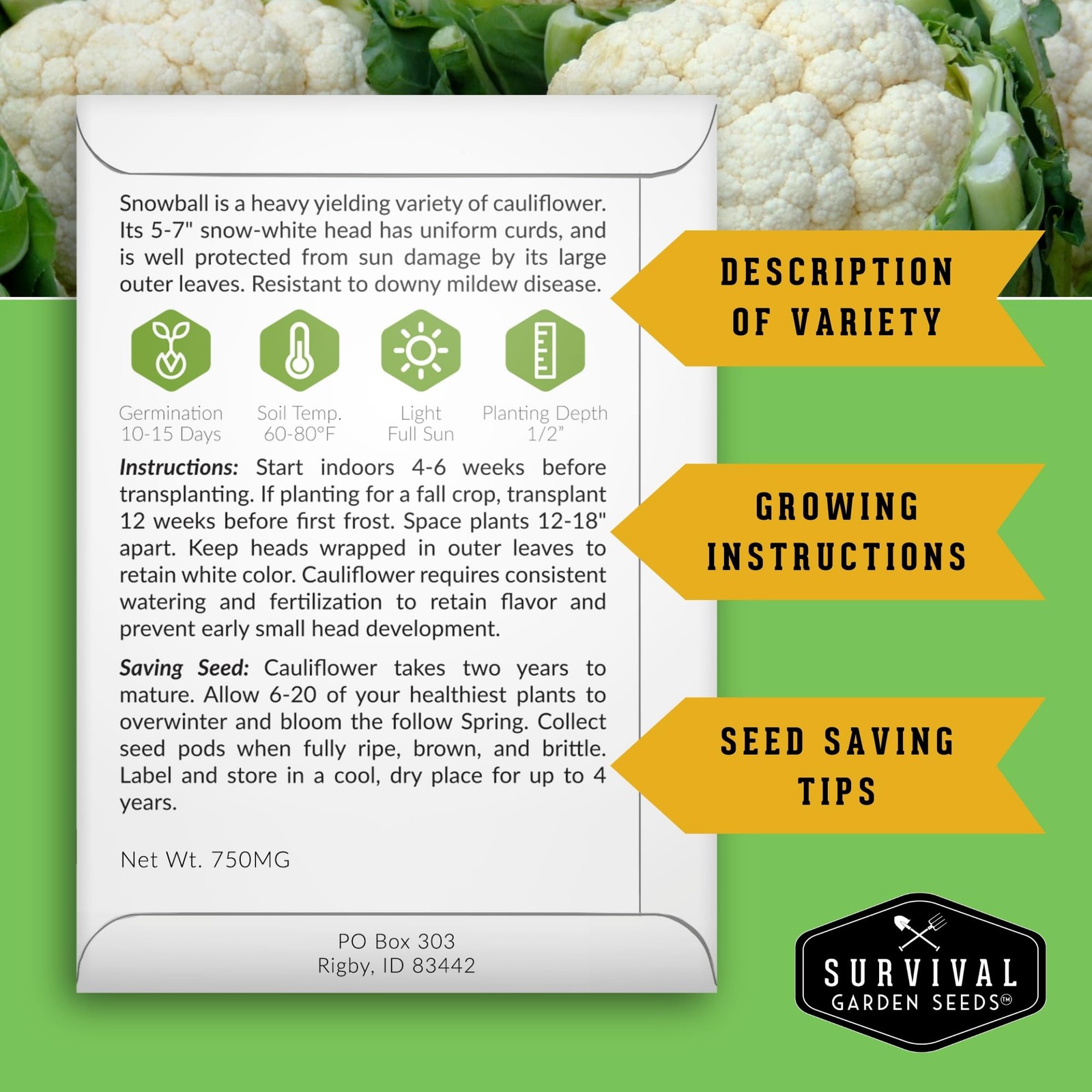 Survival Farmer Seed Vault – 100 Pack of Heirloom Vegetable Seeds for Plantin…