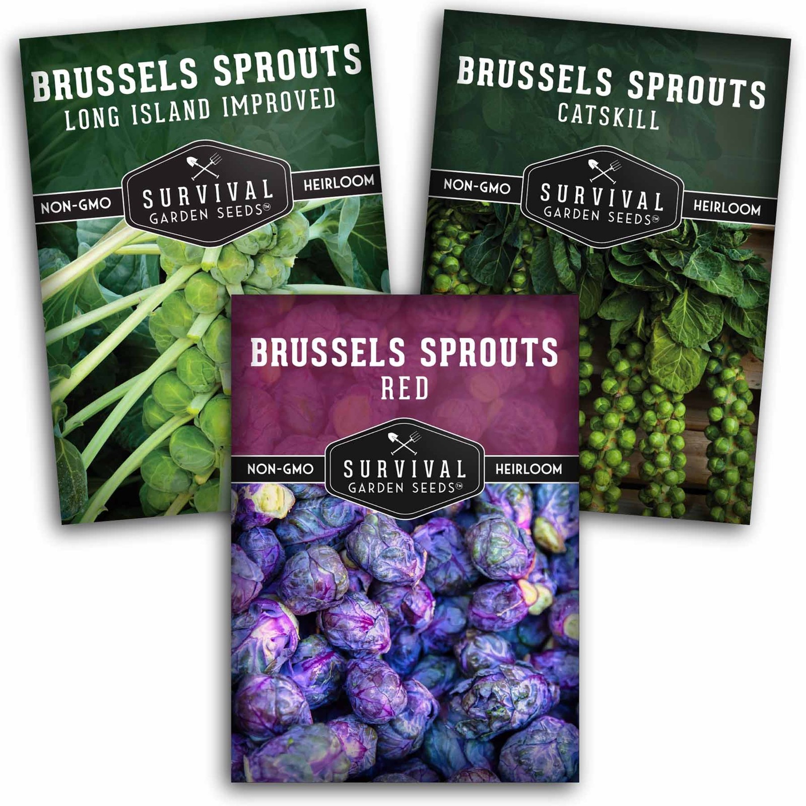 Brussels Sprouts Seed Collection – Red, Catskill & Long Island Improved