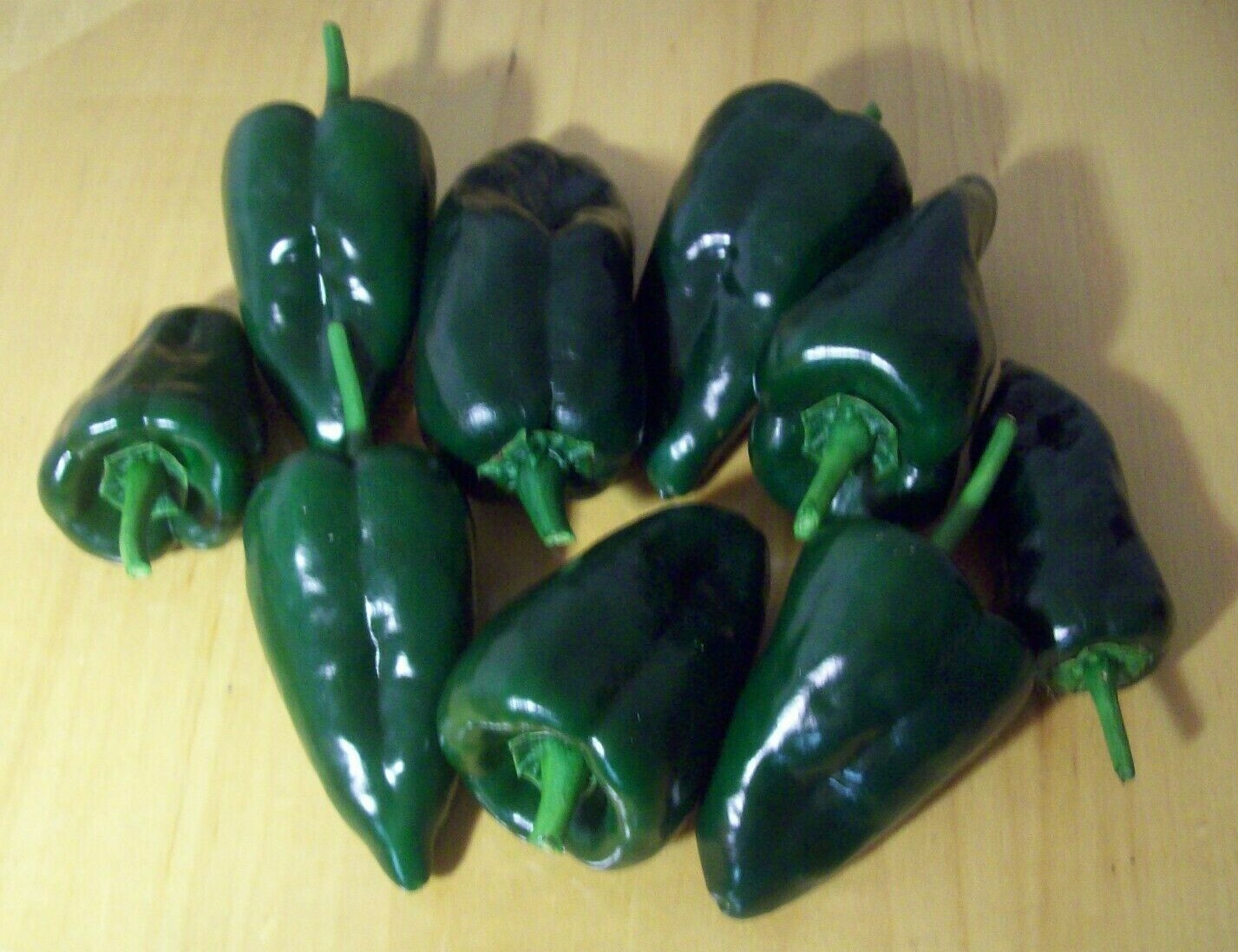 ANCHO POBLANO PEPPER SEEDS 30+ chili poblano MILD spice VEGETABLE FREE SHIPPING