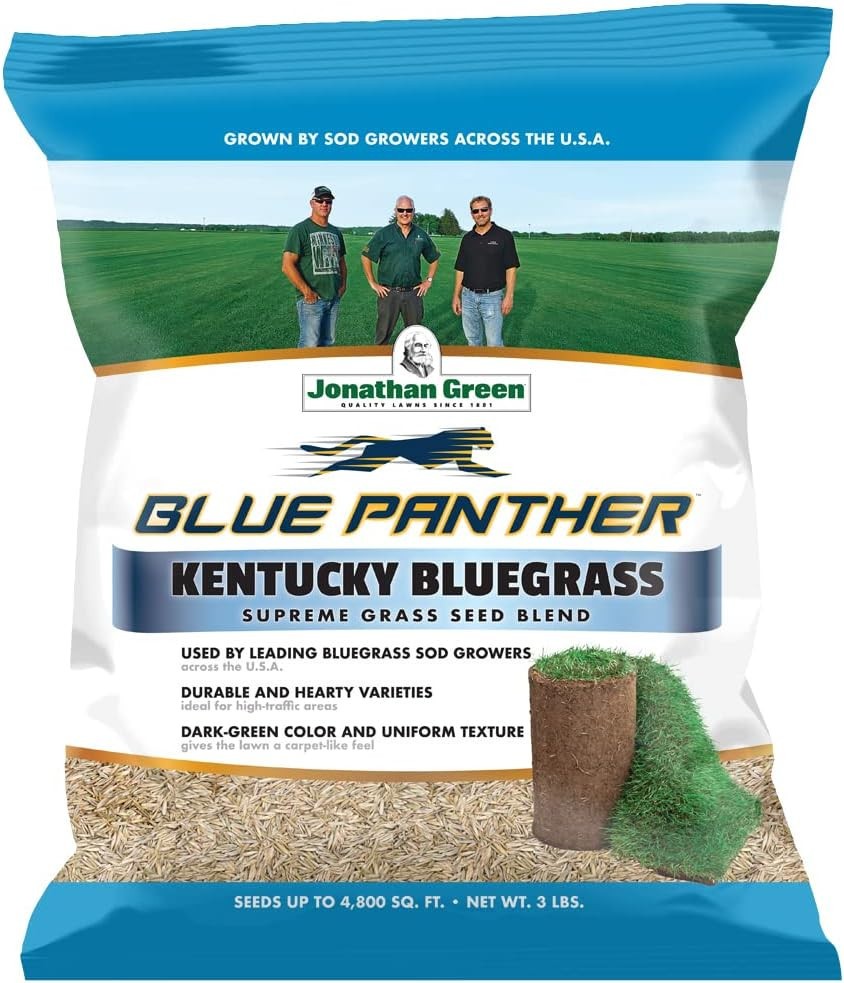 (11970) Blue Panther Kentucky Bluegrass Grass Seed – Cool Season Lawn Seed (3 Lb