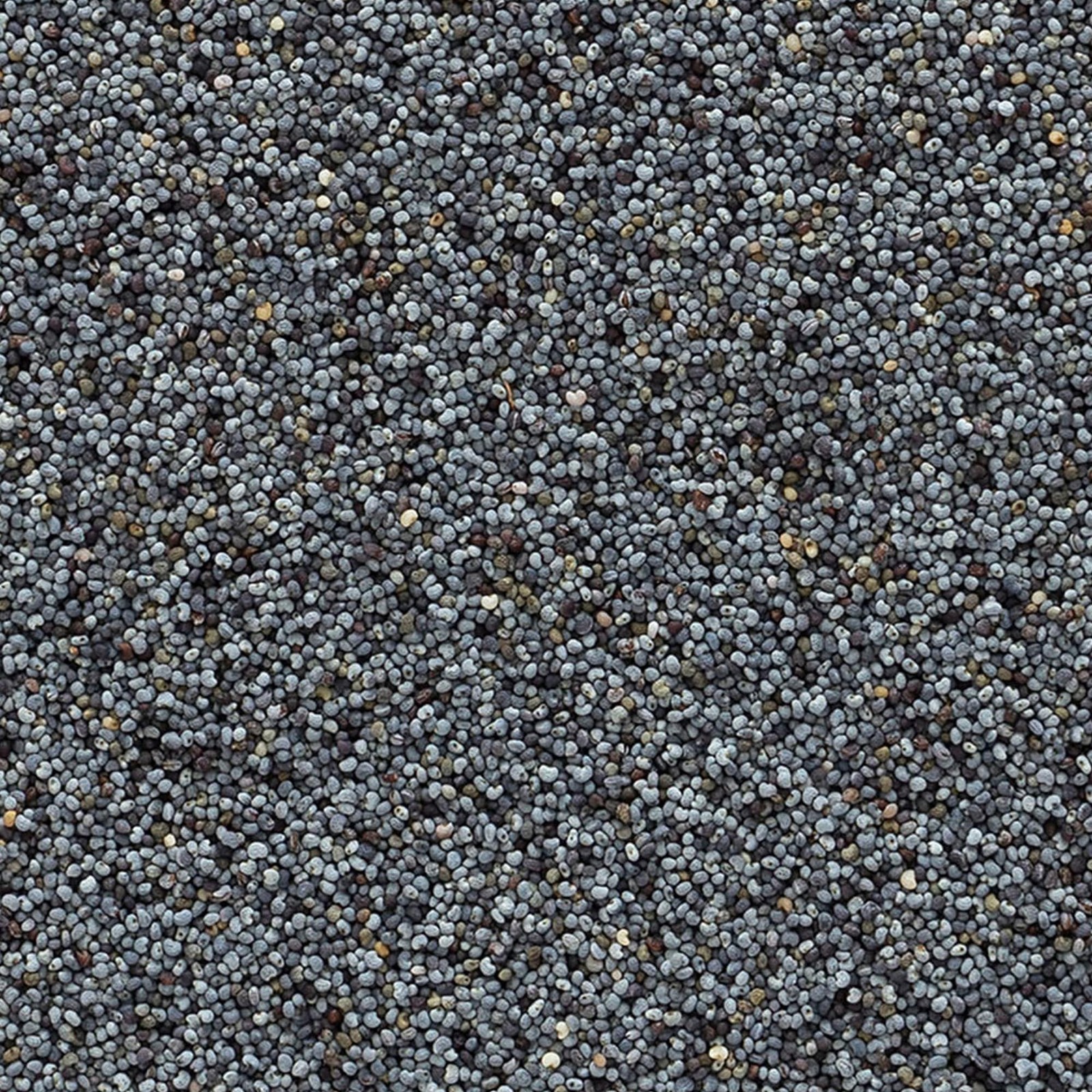 Whole Poppy Seeds, Bulk 1lb Bag Black Poppy Seeds for Baking, Cooking, Salad…