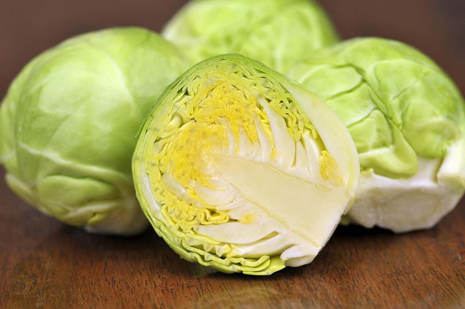 Brussel Sprouts Seeds | 250+ Seeds | Grow Your Own Food | Long Island Brussel Sp