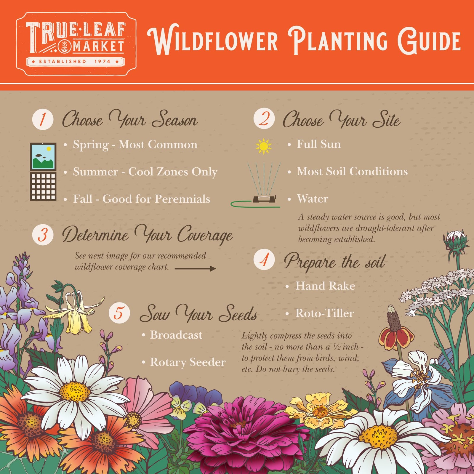 Rocky Mountain Wildflower Seeds Mix, 2 oz – 80,000+ Non-GMO Pollinator Varieties