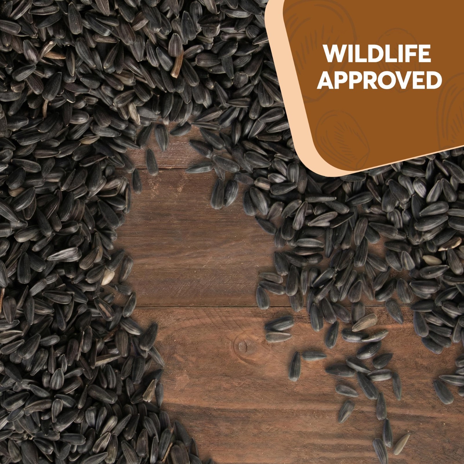 10 lb Black Oil Sunflower Seeds for Birds – Premium Non-GMO Wildlife Food