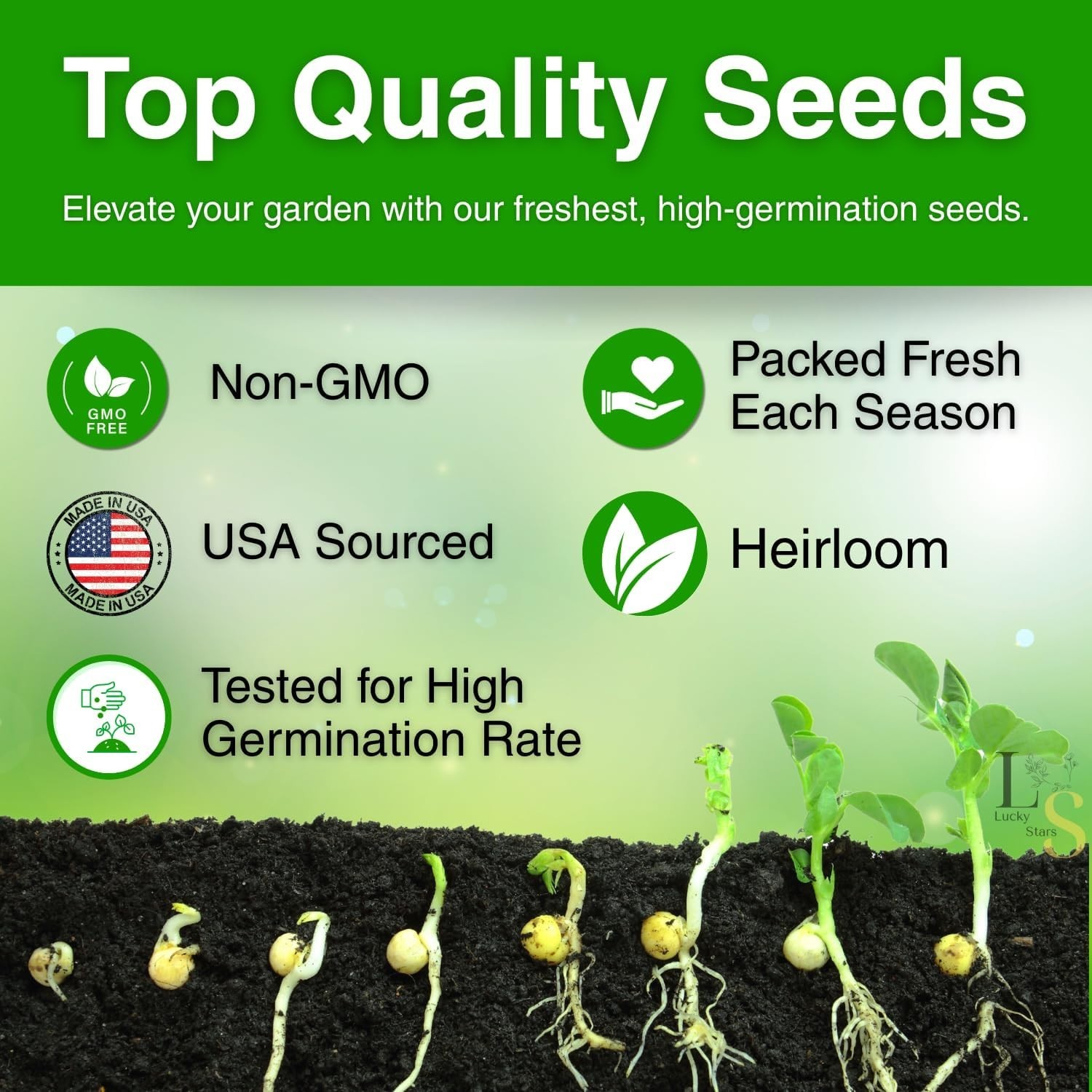 Non-GMO 5000+ Petunia Seeds – Ideal for Pollinator Gardens & Extended Bloom Time