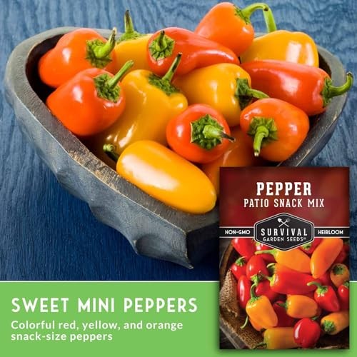 Patio Snack Mix Mini Sweet Pepper Seeds for Planting | Compact Lunchbox-Style 1