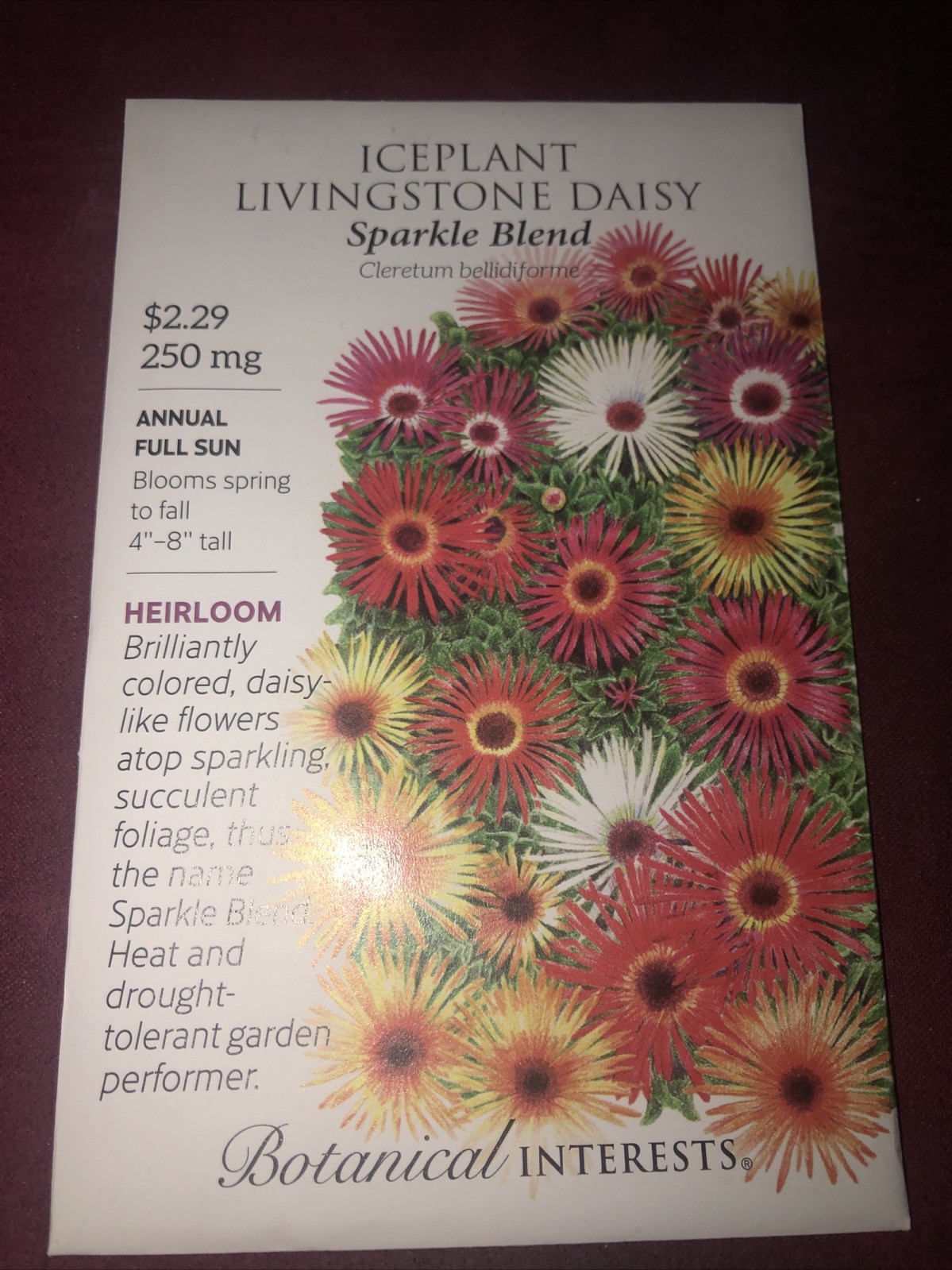 Iceplant Livingston Daisy SparkleHeirloom Seeds Botanical Interests Exp. 12/2024