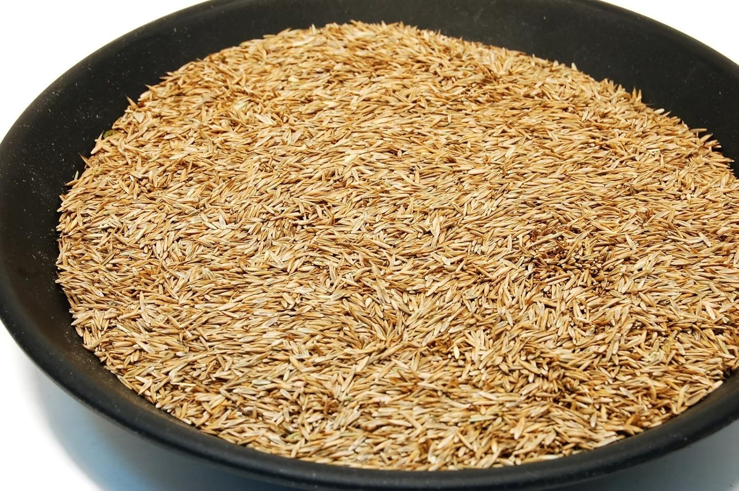 Scotts Kentucky 31 Grass Seed Mix for New Lawns or Overseeding, Grows Thicker an
