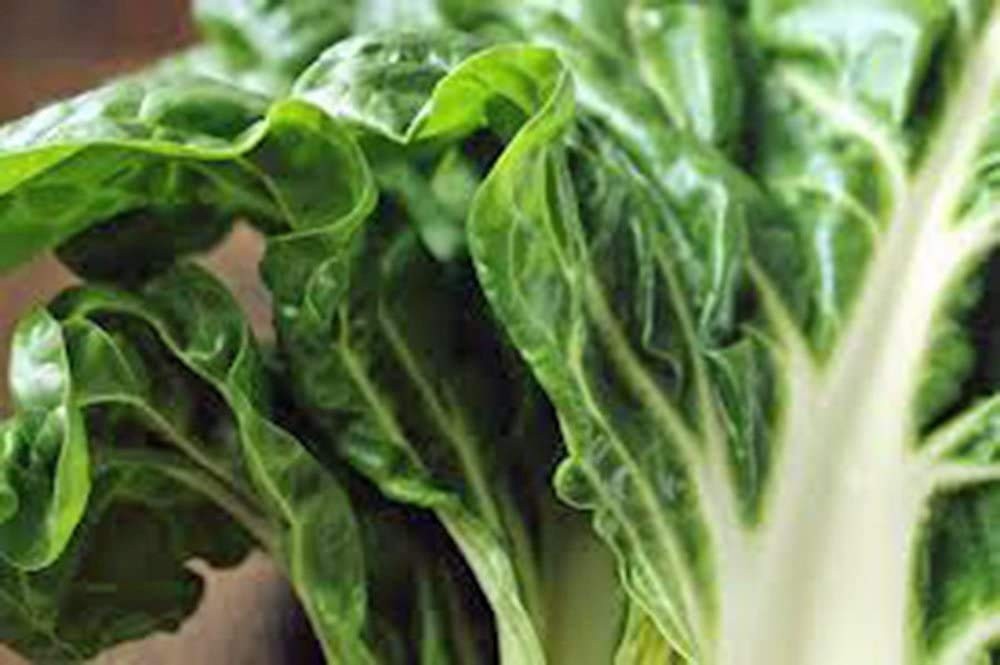 Swiss Chard Seeds, Large White Ribbed, Heirloom, 25 Seeds, Non GMO