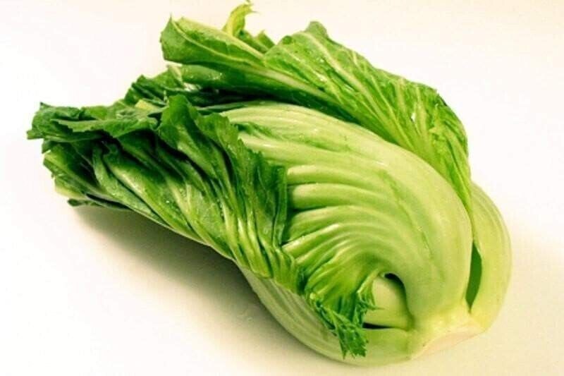 2000+ Kekkyu Takana, Oriental Mustard, Gai Choy, Brassica Juncea, Cải dưa chua