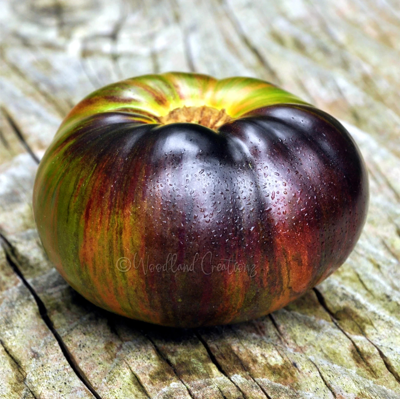 10 seeds Rebel Starfighter Dippers Delight DWARF Tomato Rare ORGANIC Variety