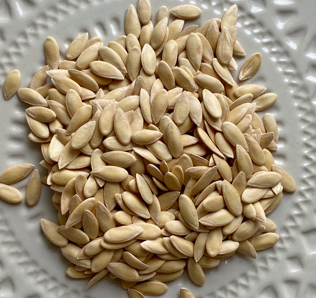 75 Heirloom Honey Rock Cantaloupe Seeds – Prize Winning Melon! – SUPER Sweet!