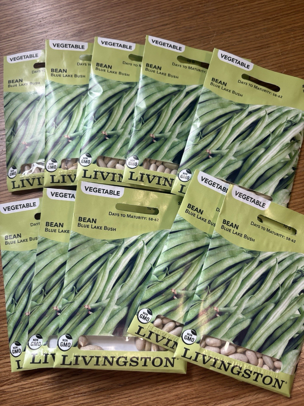 10 PACKS OF 10G Livingston Seed Company Blue Lake Bush Bean Non-GMO Seeds