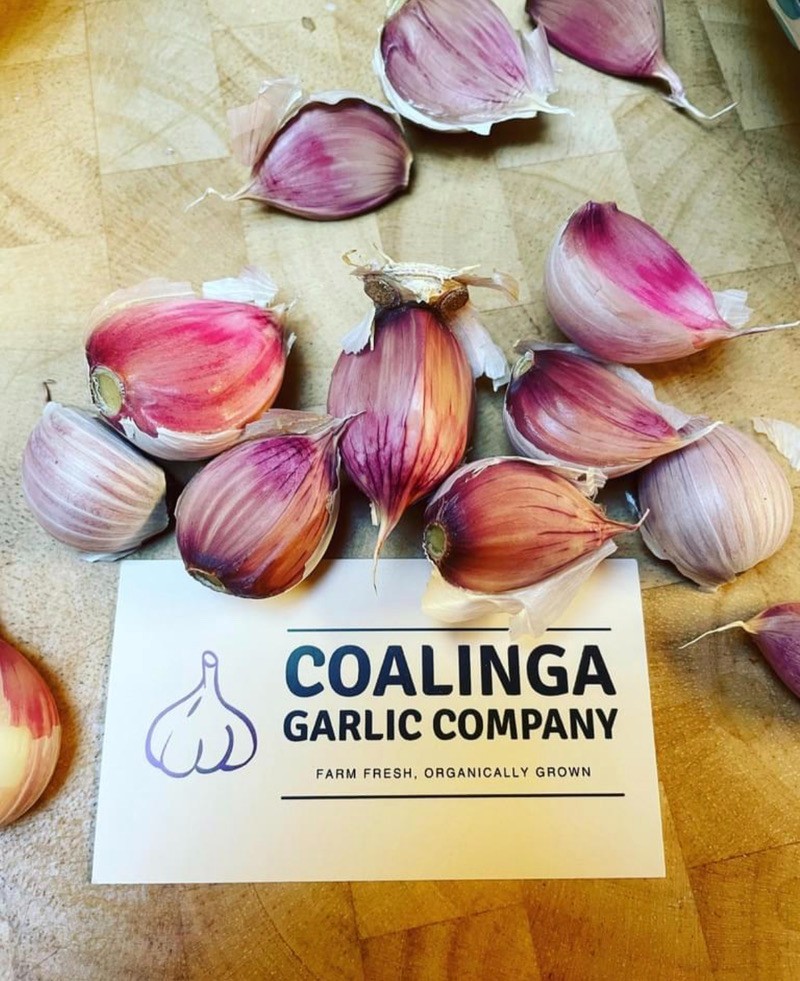 USDA Organic CA Early Garlic Bulbs | Mild Gourmet Garlic | California Grown