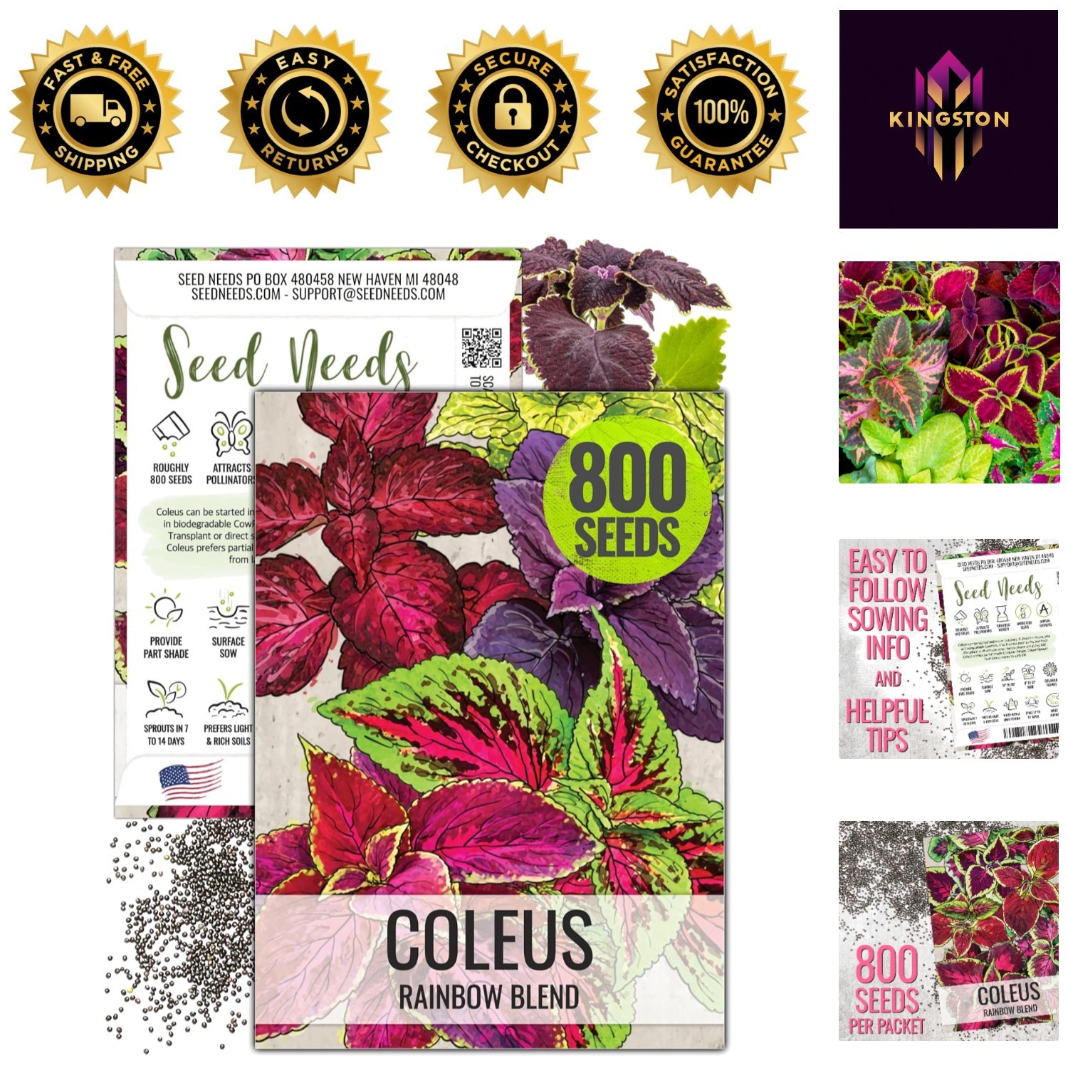Attract Butterflies with Heirloom Coleus Seeds – 800 Open-Pollinated Seeds