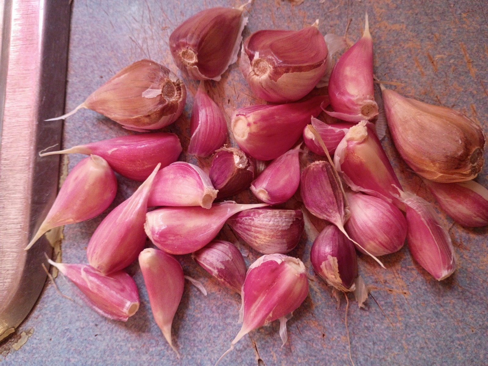 25 Organic German Red Hard neck Garlic Cloves For Planting 2026 USA