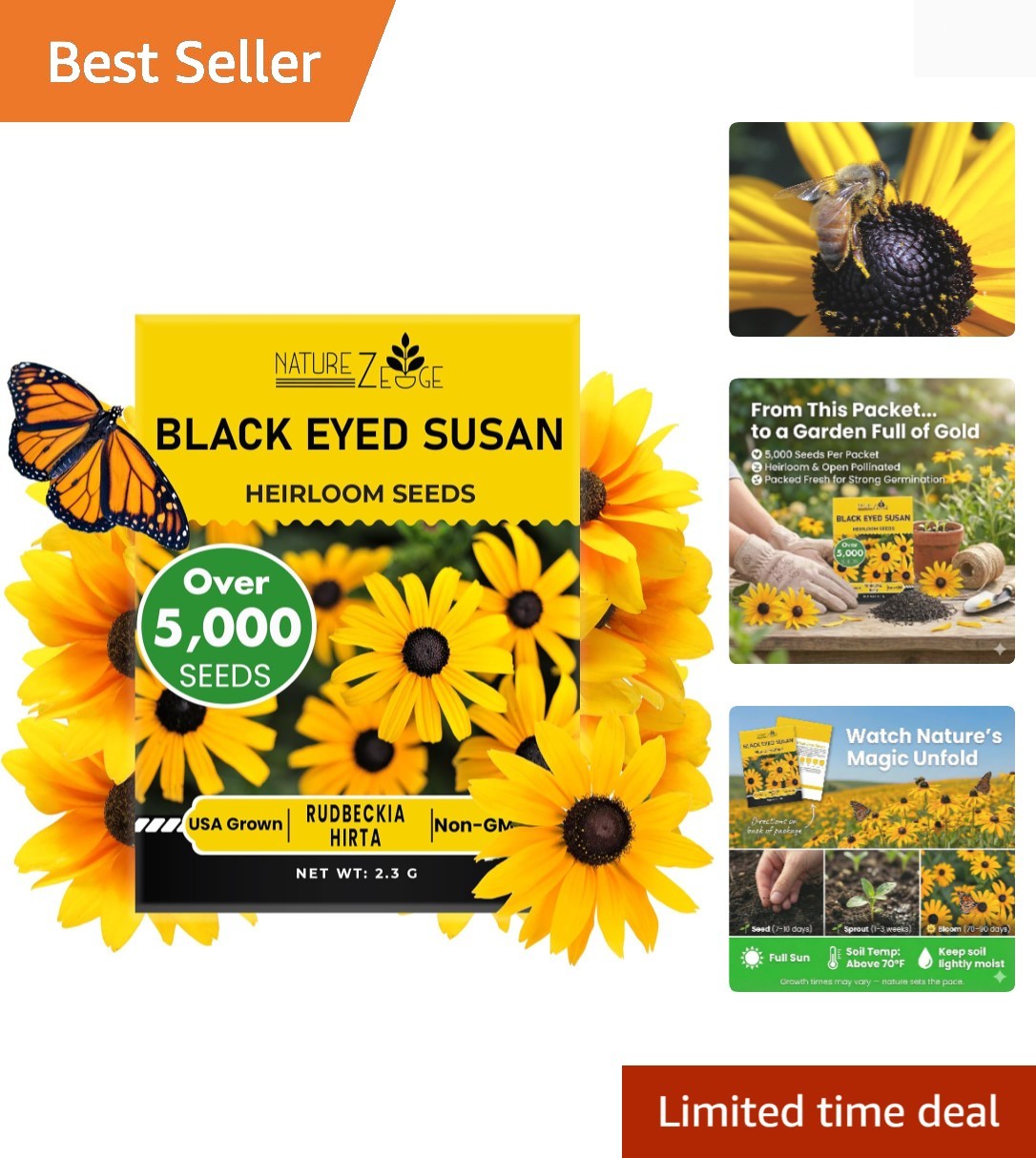 Versatile Black Eyed Susan Seeds – 5000 Heirloom Seeds for Indoor/Outdoor Beauty