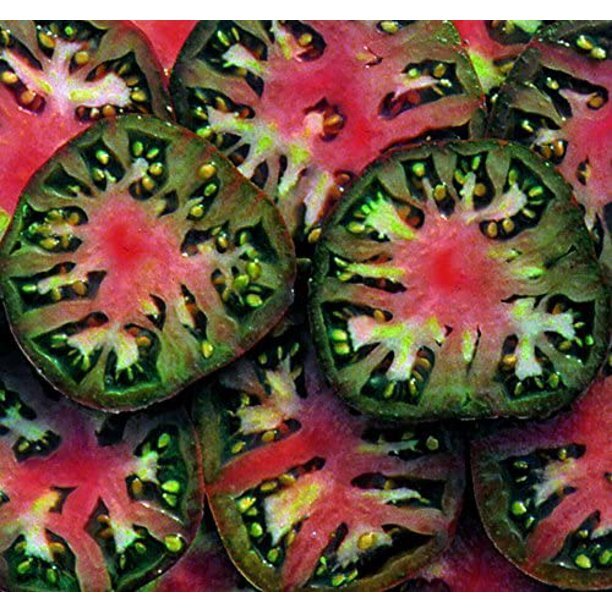 Black Sea Man Tomato Seeds | 15 Seeds | Non-GMO | Free Shipping | 1289