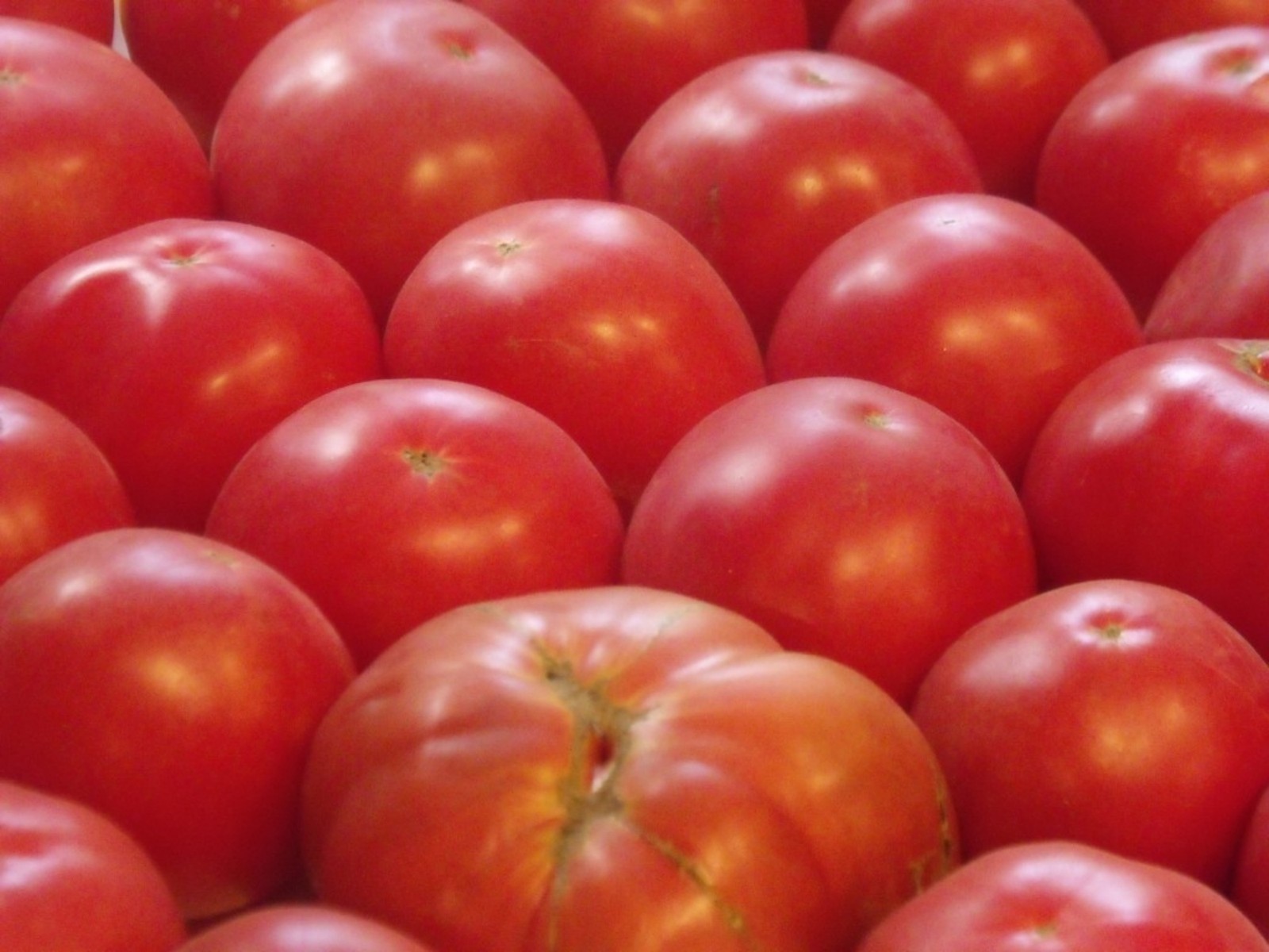 German Johnson Tomato Seeds- Heirloom 75+ 2021 Seeds $1.69 Max Shipping/order