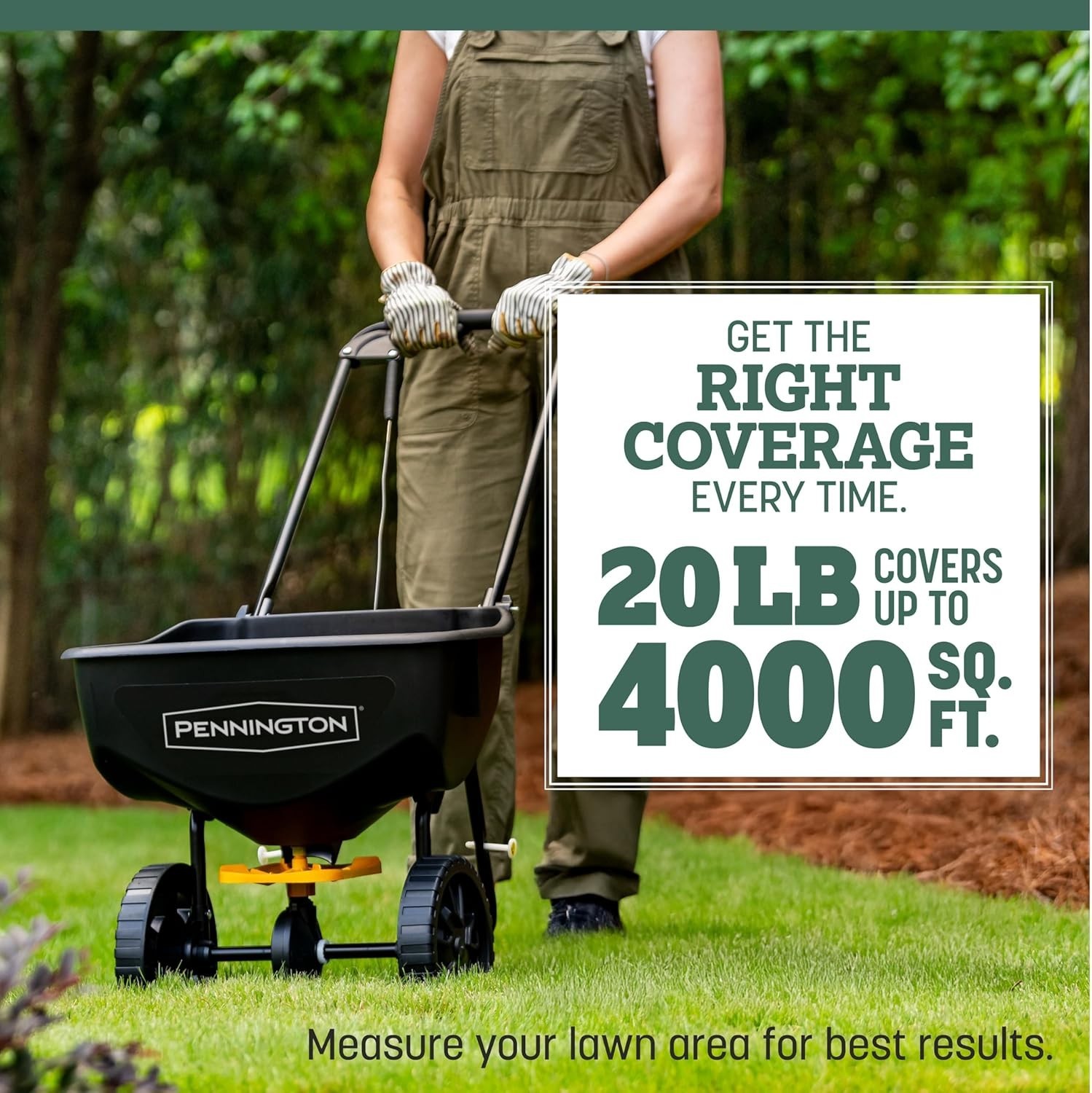 Kentucky 31 Tall Fescue Grass Seed 20 lb for Durable Lawn and Thick Blades