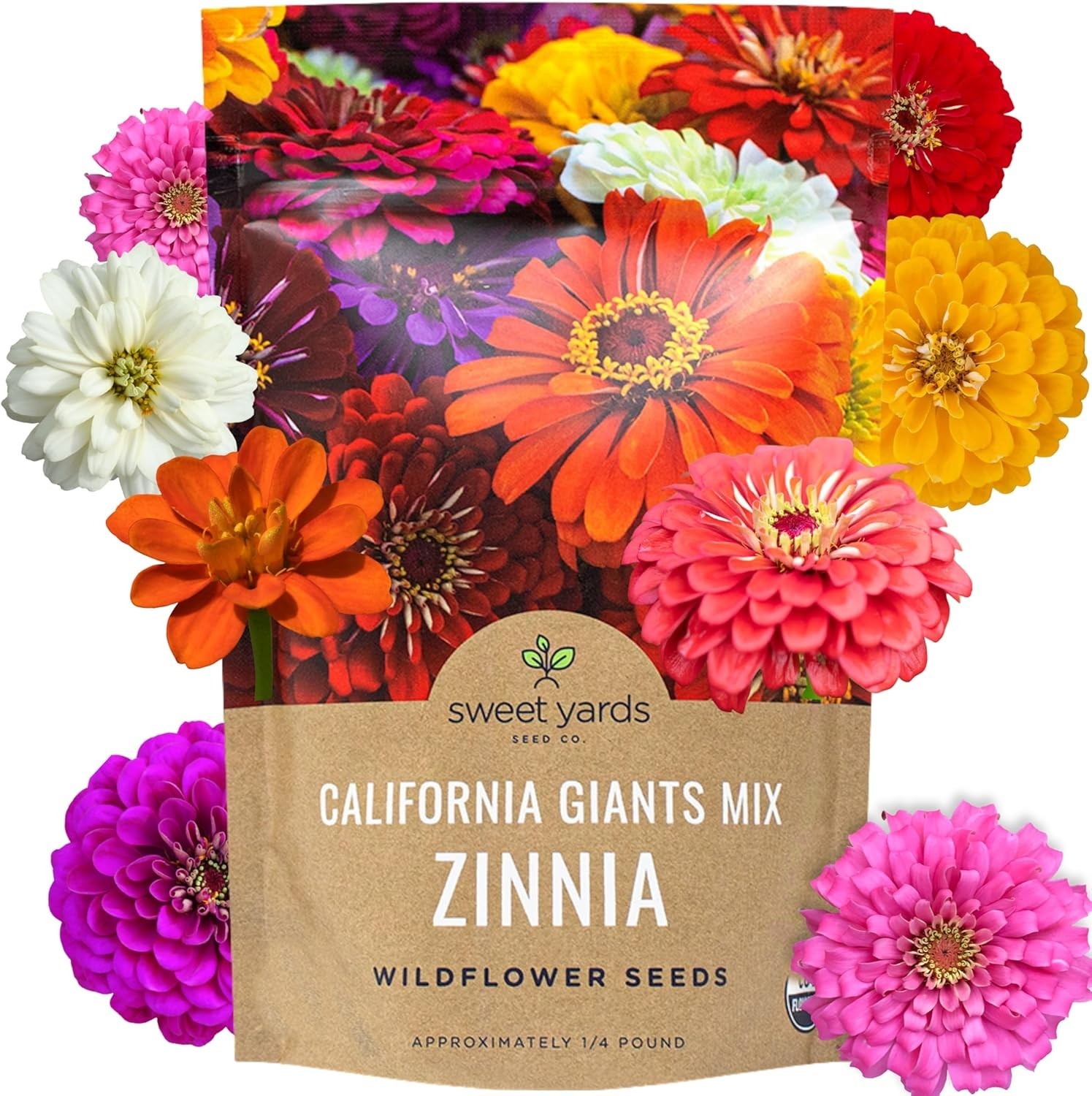 Vibrant California Giants Zinnia Seeds – 12,000 in 1/4 lb Resealable Packaging