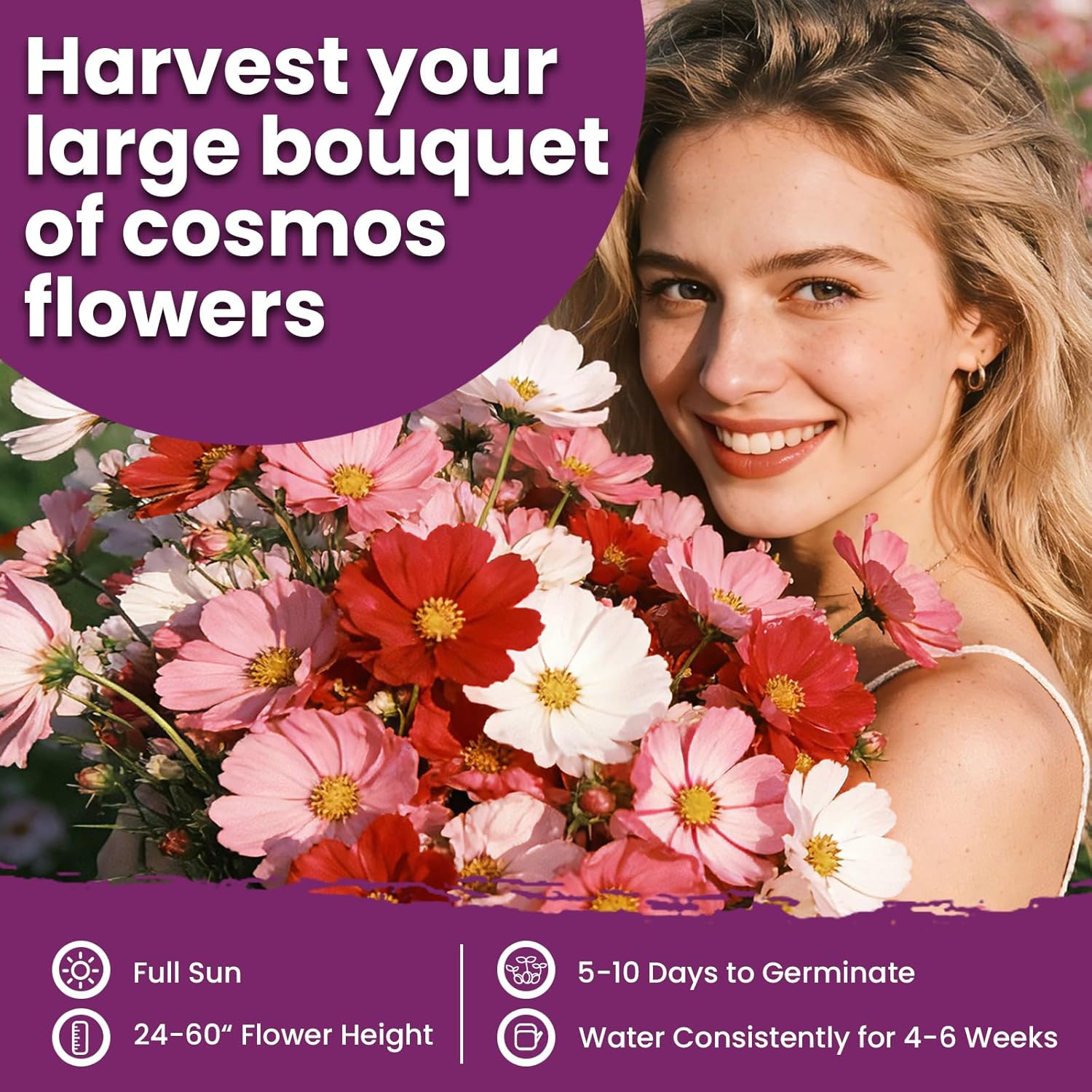 Cosmos Seeds Mix, 1 Ounce Over 5000+ Crazy Blend Cosmo Flowers Seed for Planting