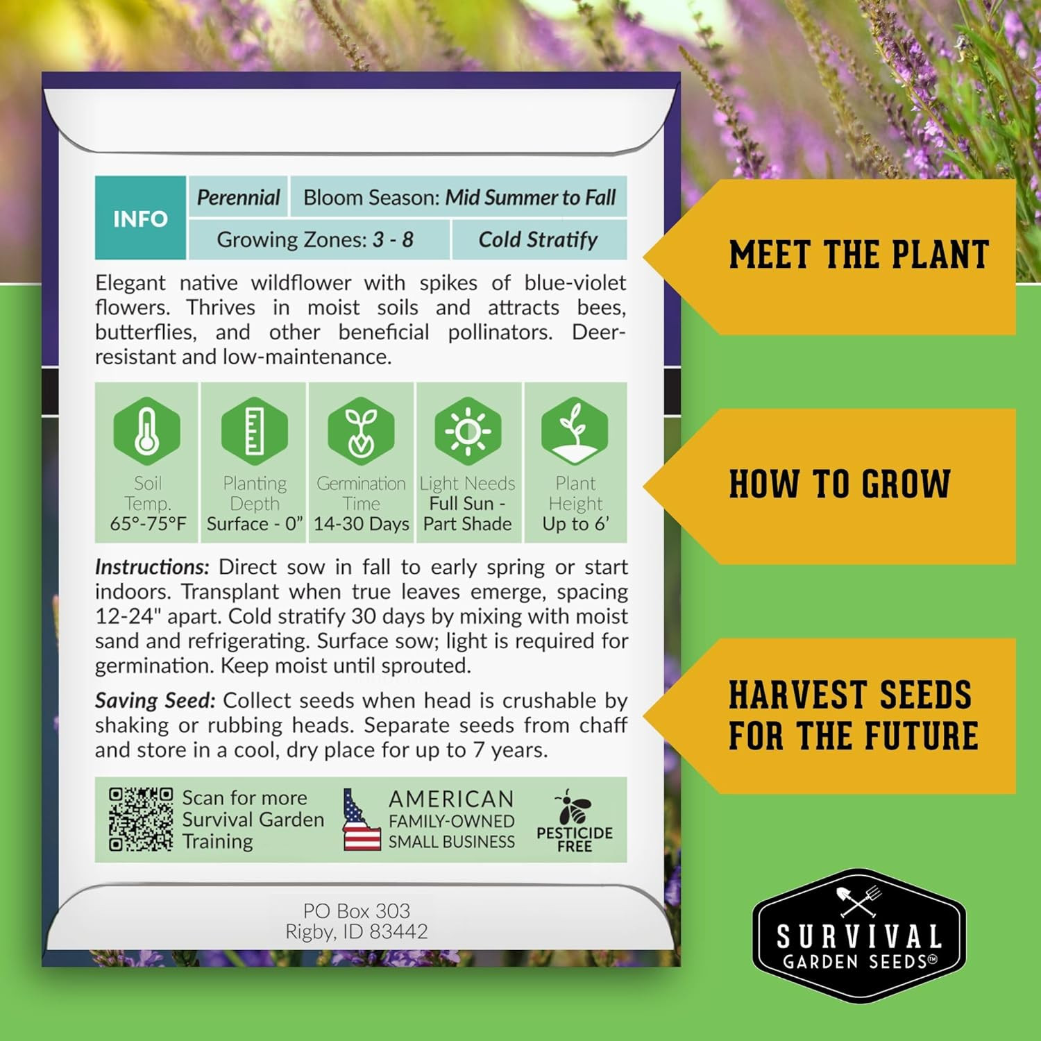 Survival Garden Seeds Blue Vervain Seeds for Planting (Verbena Hastata) | North