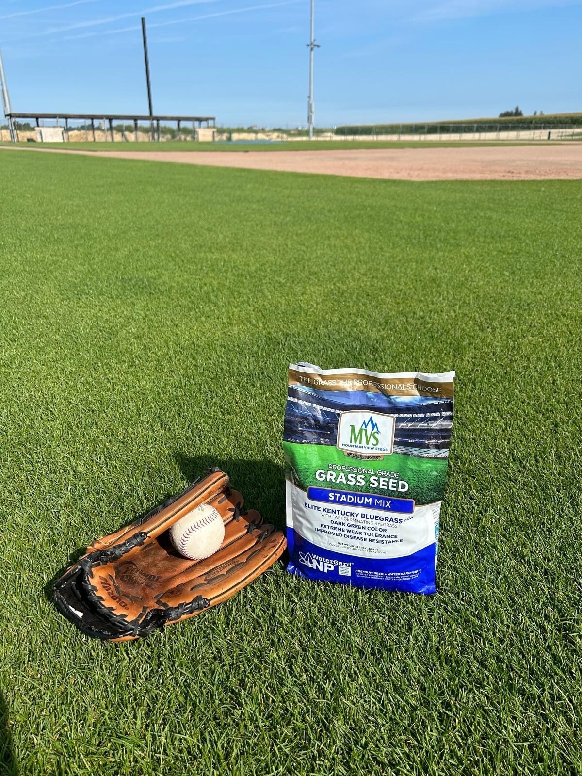 The Andersons Stadium Mix Kentucky Bluegrass Premium Grass Seed