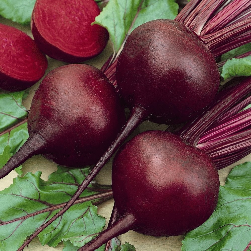 Detroit Dark Red Beet Seeds – Sweet Blood-Red Flesh – 100 Count Pack