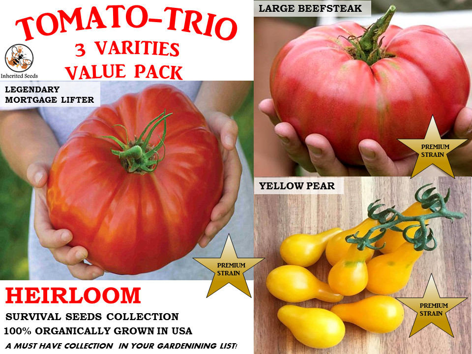 Tomato-Trio Value Pack HEIRLOOM 100+ seeds 100% Organic Home Grown USA
