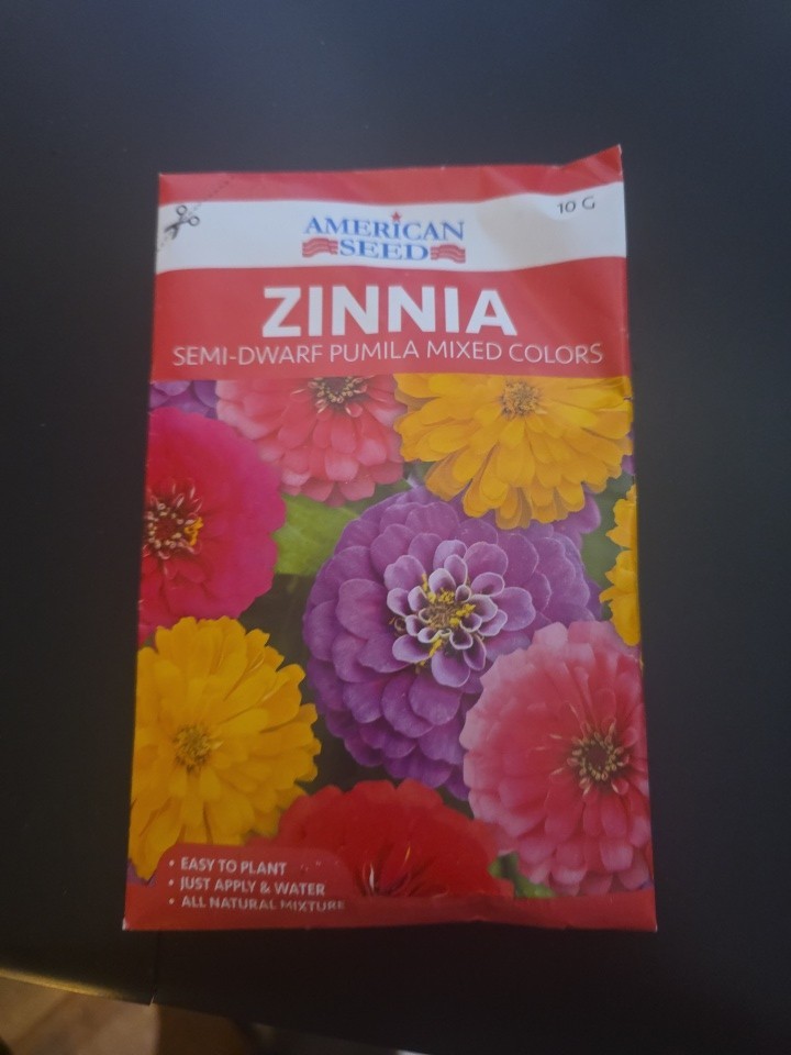 10g Pack ZINNIA Semi Dwarf Pumila Mix Colors Seeds Flower Pollinators