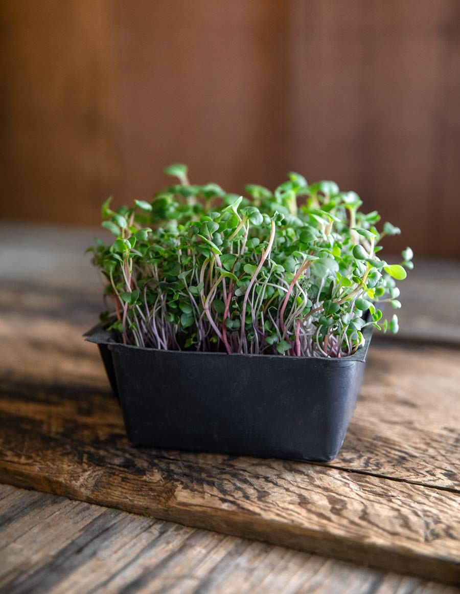 Superfood Microgreen Seeds Mix | for Microgreens Growing Trays | 1 LB | Heirl…