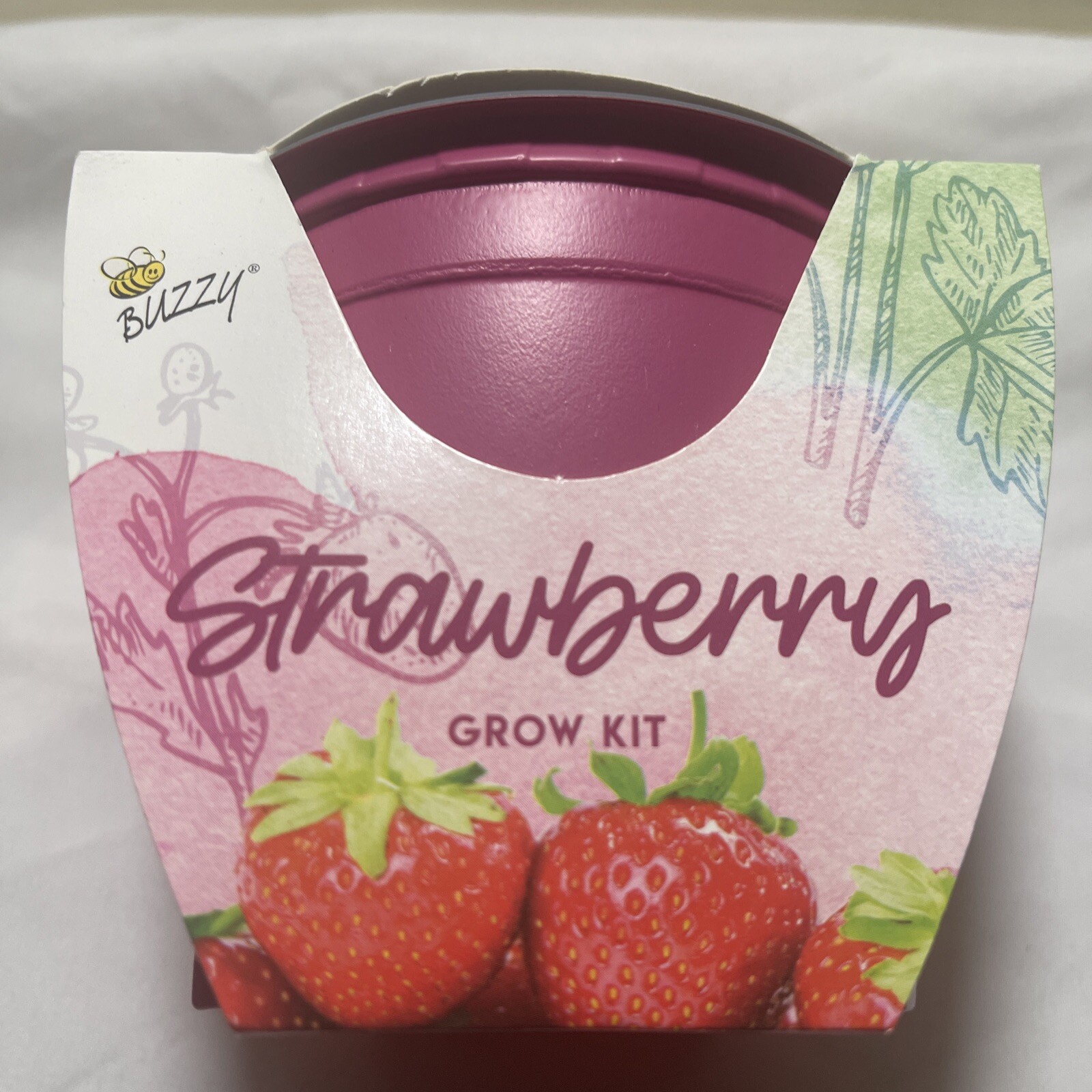 Buzzy Brand Stawberry Grow Kit Pot Complete Seeds Just Add Water