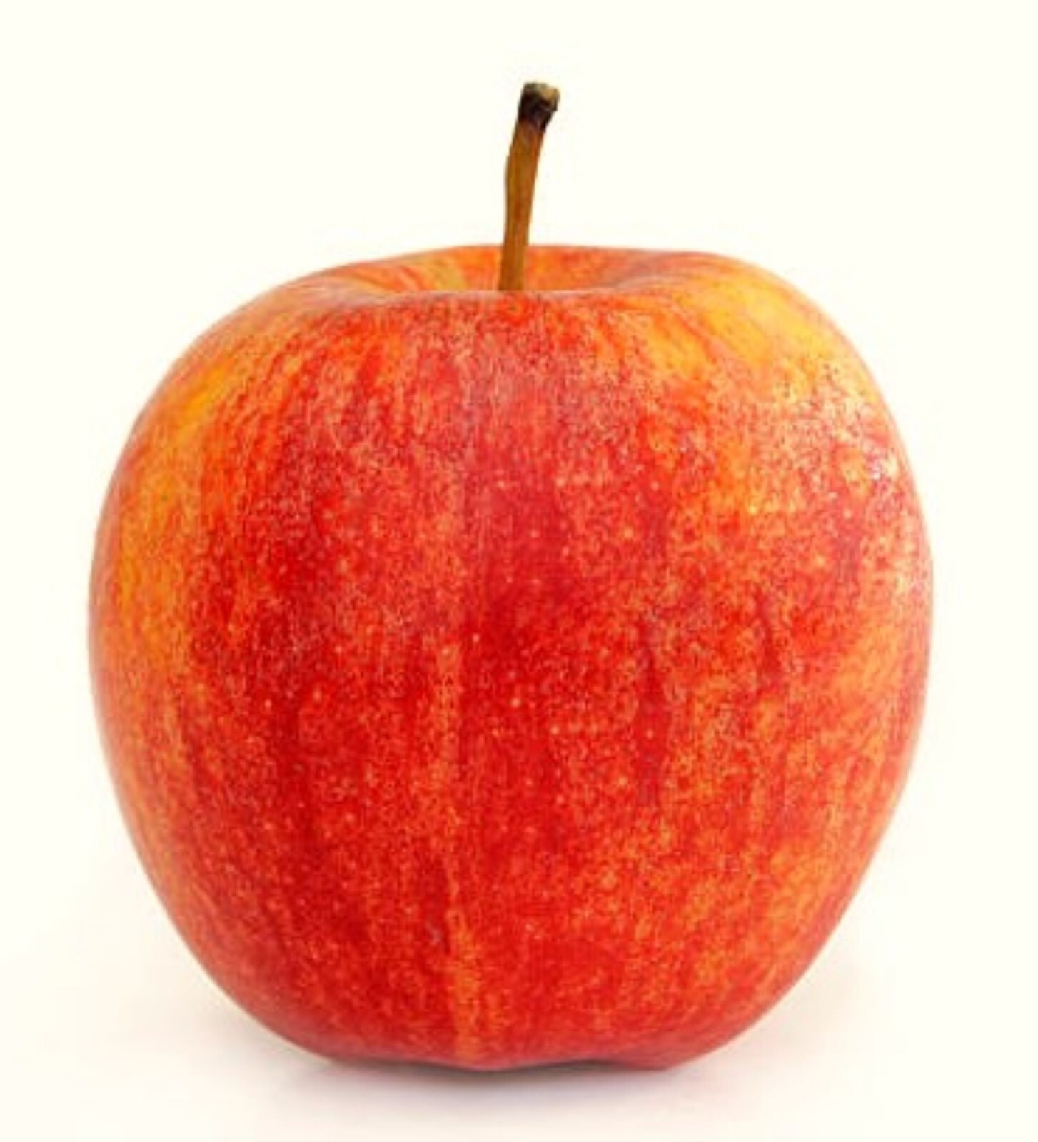 1000 Cosmic Crisp Apple Tree Seeds – BULK WHOLESALE – FRESH SEEDS