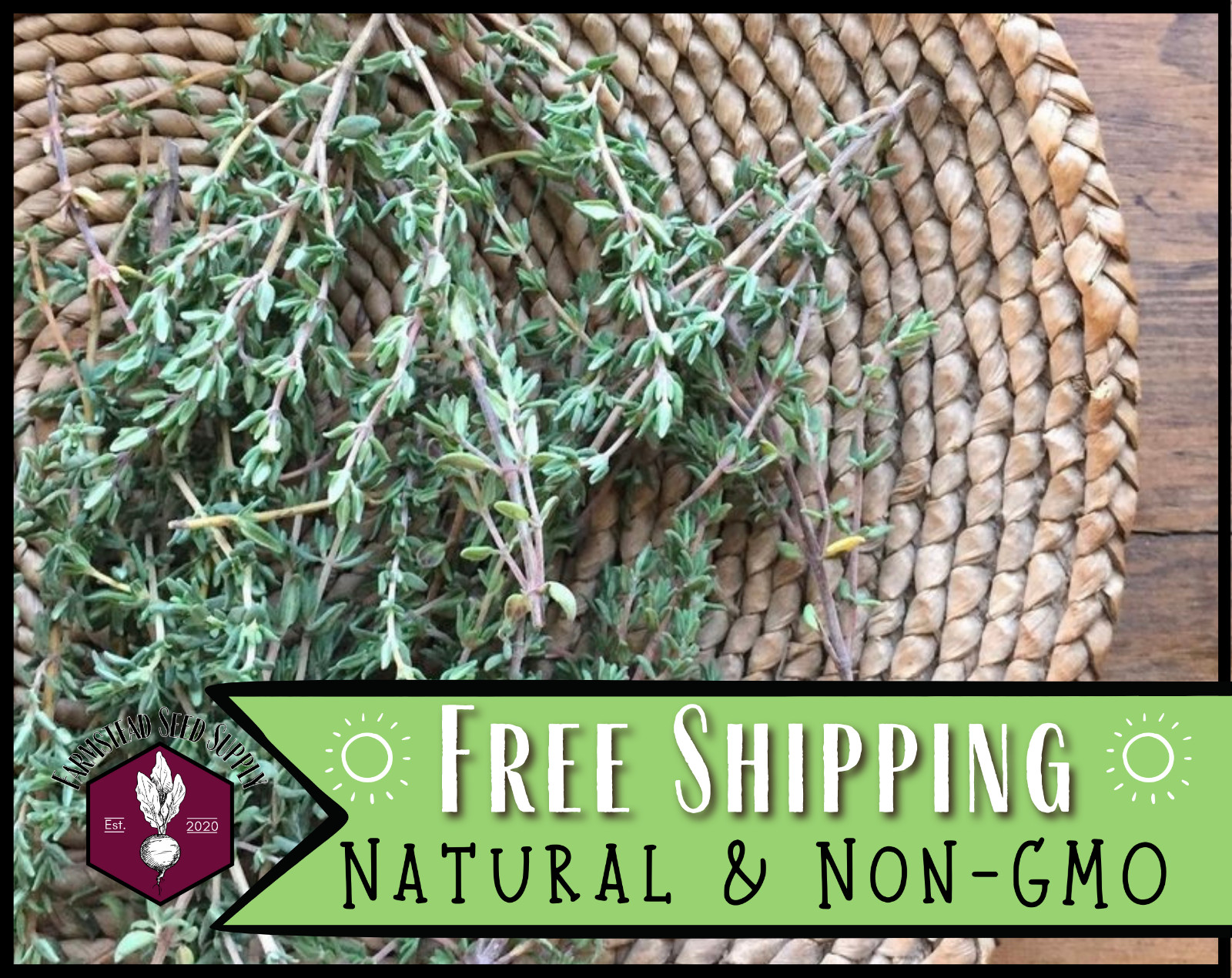 4,400+ Common Thyme Seeds, Herb Gardening Seed Packet, Heirloom, Non-GMO