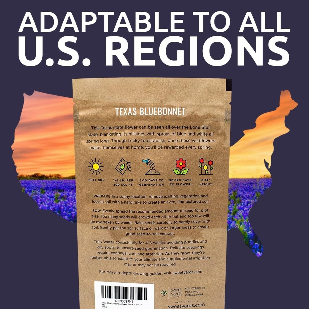 Texas Bluebonnet Wildflower Seeds – 1/4 lb Bulk, 4000+ Native Seeds, State Flowe