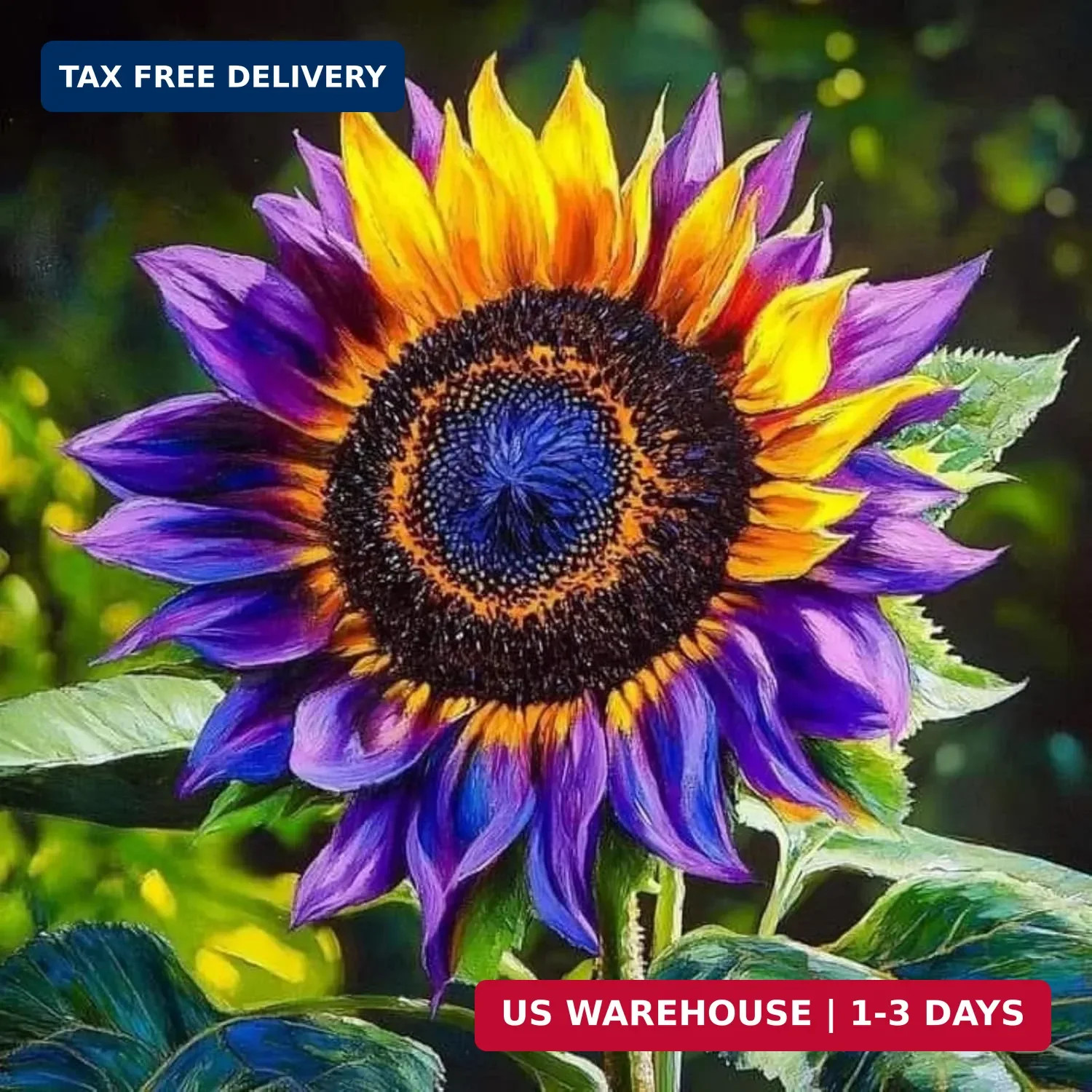 100+ Sunflower Seed for Planting – Dwarf Sunflower Seeds Non GMO Heirloom Seeds