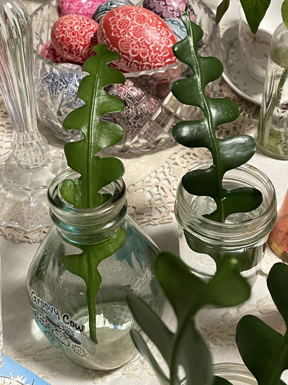 🌿Symbolic Endurance & Protection Rick Rack FISHBONE Plant Blooms YELLOW