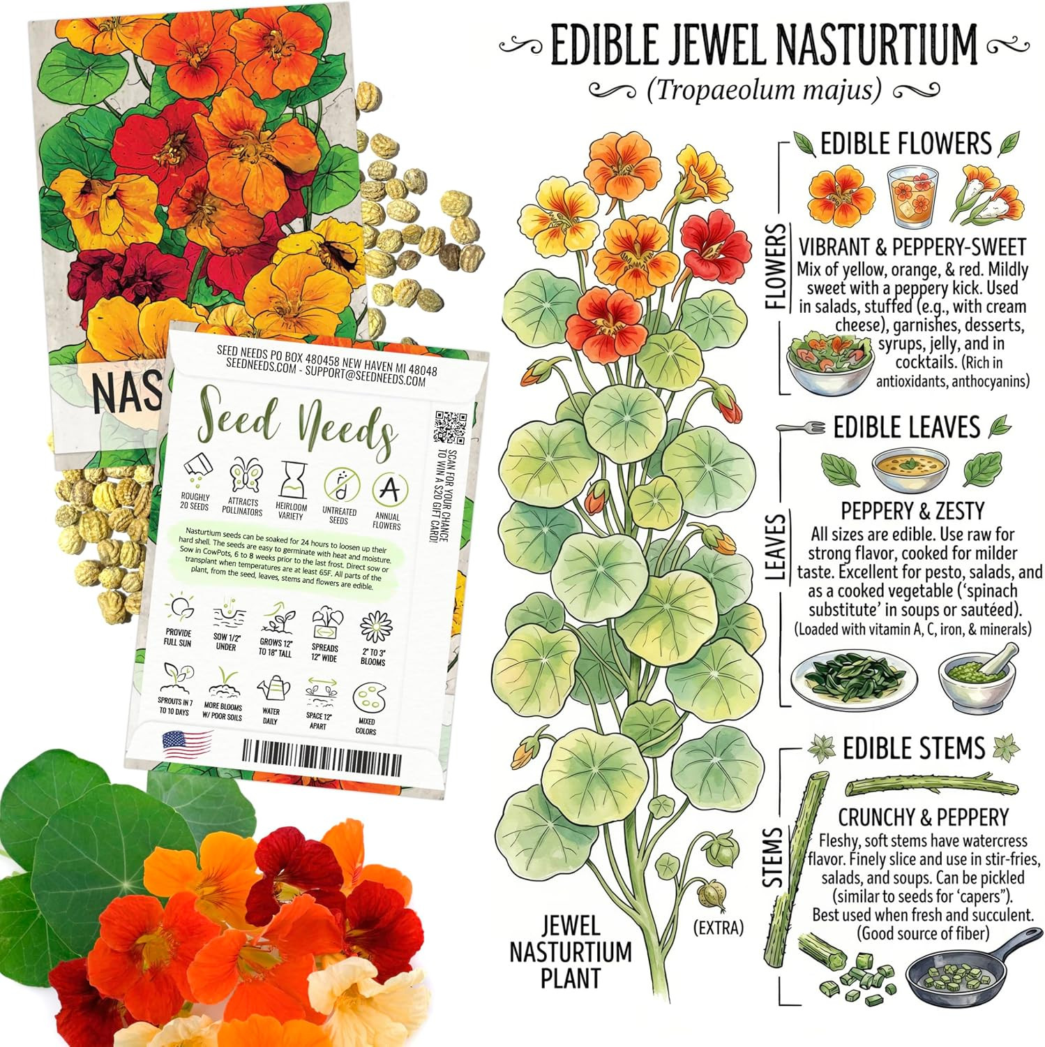Edible Flower Seeds Variety Pack of 7 Wildflowers for Garnishing
