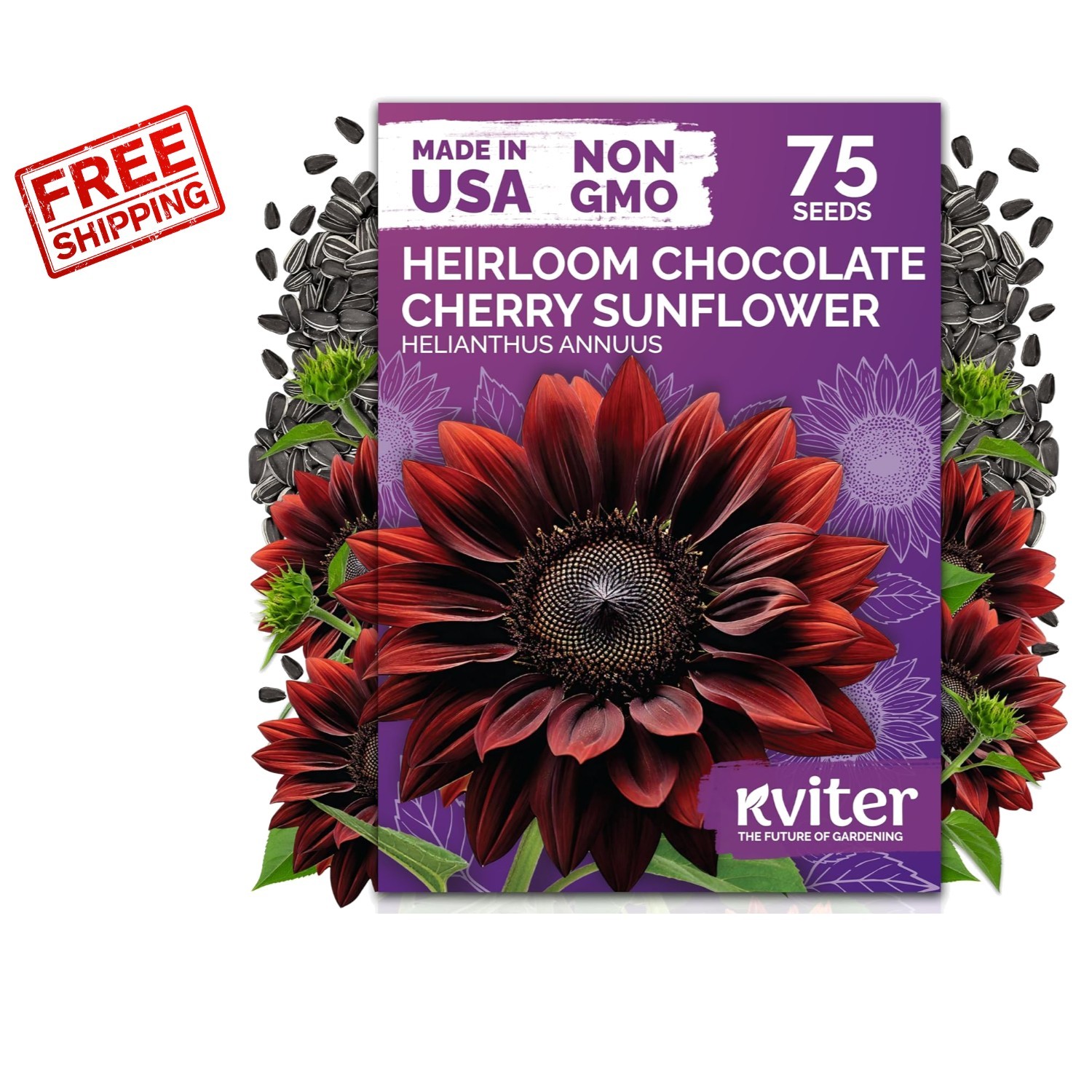 75 Organic Chocolate Cherry Sunflower Seeds – Heirloom Blooms for Garden Lovers
