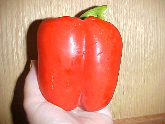 75 SEEDS ORGANIC SWEET VERY LARGE DARK RED BELL PEPPER SEEDS