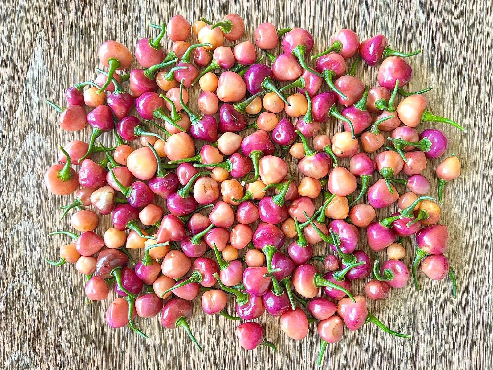 Cheir Roxa Hot Pepper Seeds, Non-GMO Organic Peppers, Hot Spice Level
