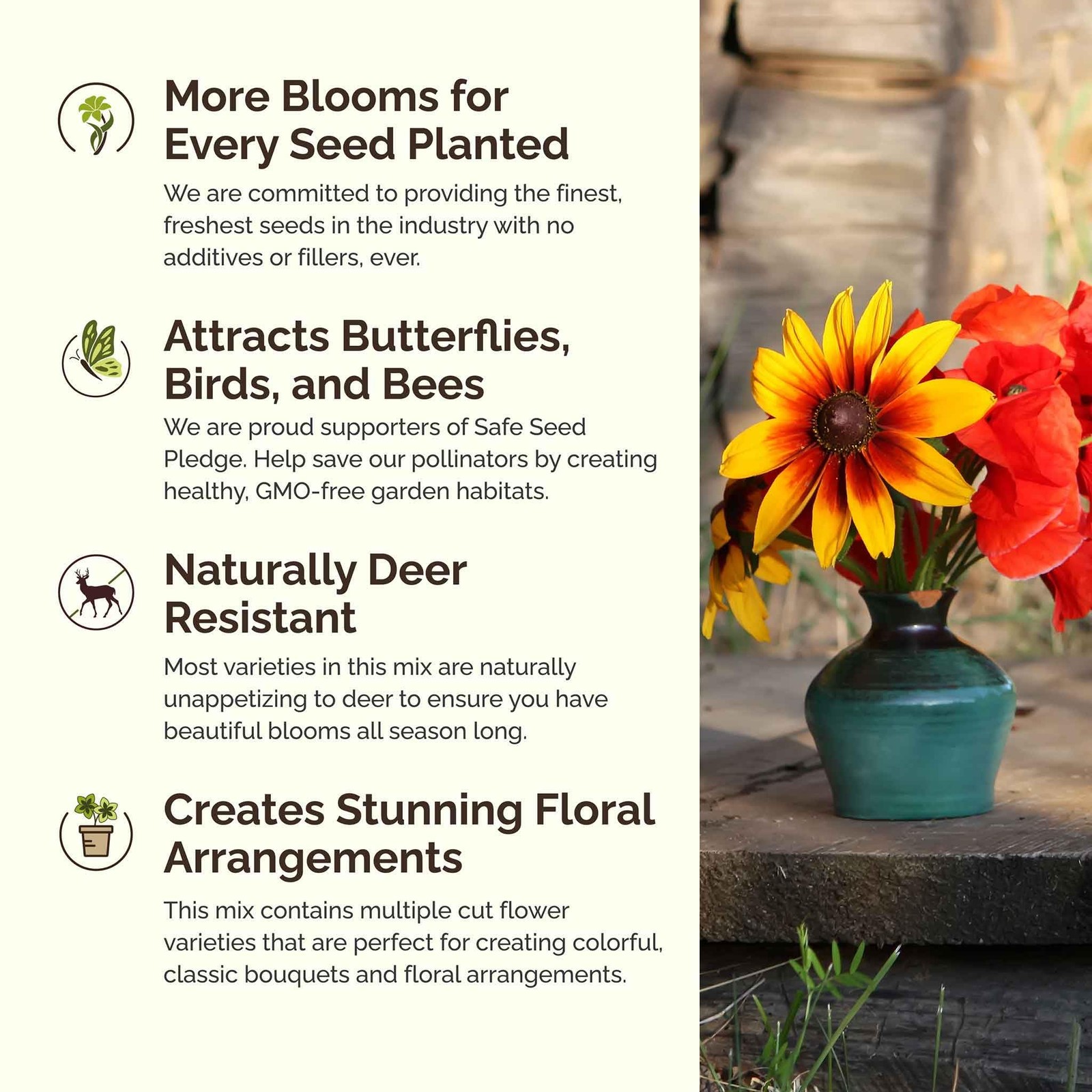 Southeast Wildflower Seed Mix 120,000+ Seeds for Pollinators, Plant in