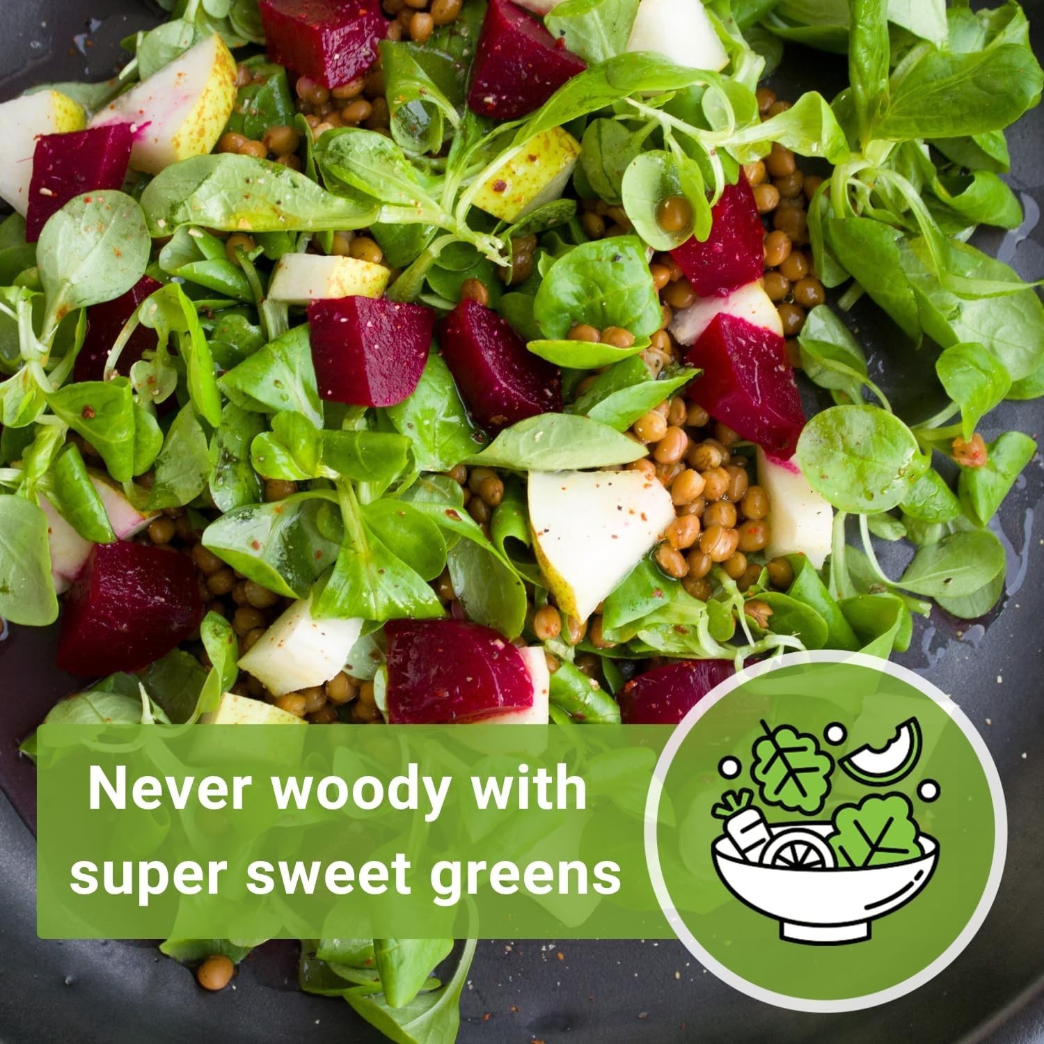 Non-GMO Cylindra Beet Seeds – Planting Instructions Included for Outdoor Growth