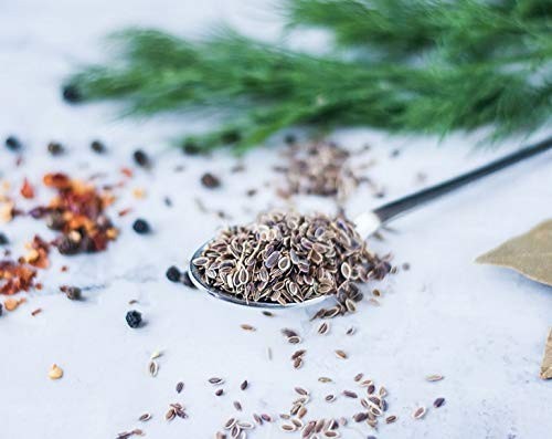 Dill Seeds Whole 3 lbs – Kosher, Raw, Vegan, Bulk Herbs for Cooking & Baking
